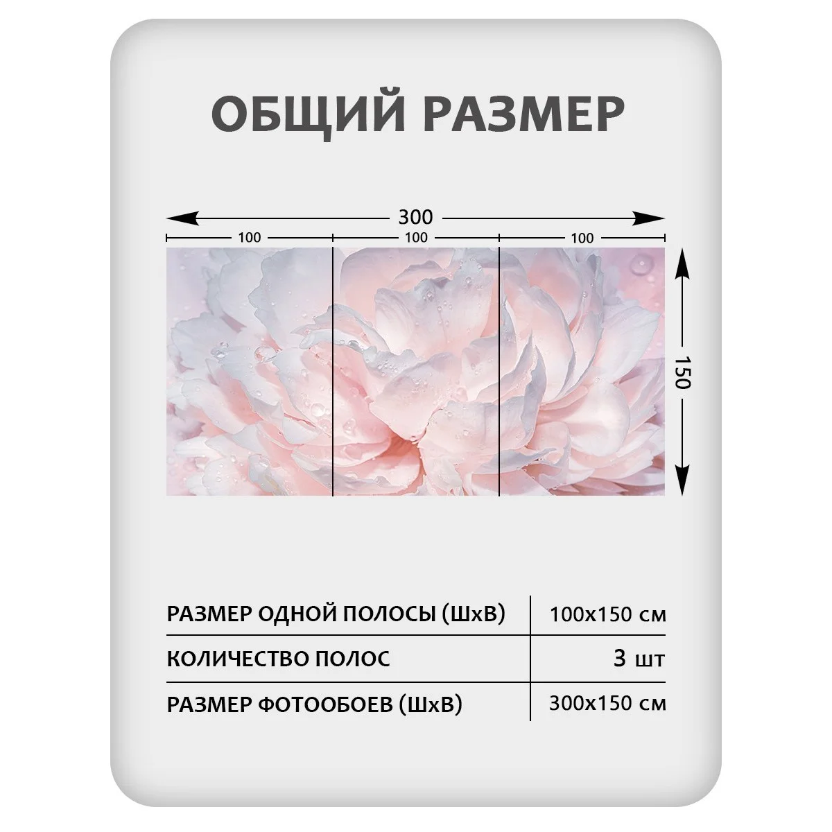 Фотообои рулонные Citydecor Цветы и Растения 40 на флизелиновой основе 300x150 см