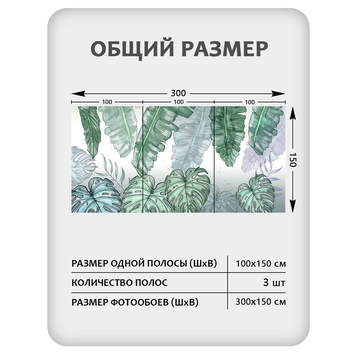 Фотообои рулонные Citydecor Цветы и Растения 41 на флизелиновой основе 300x150 см