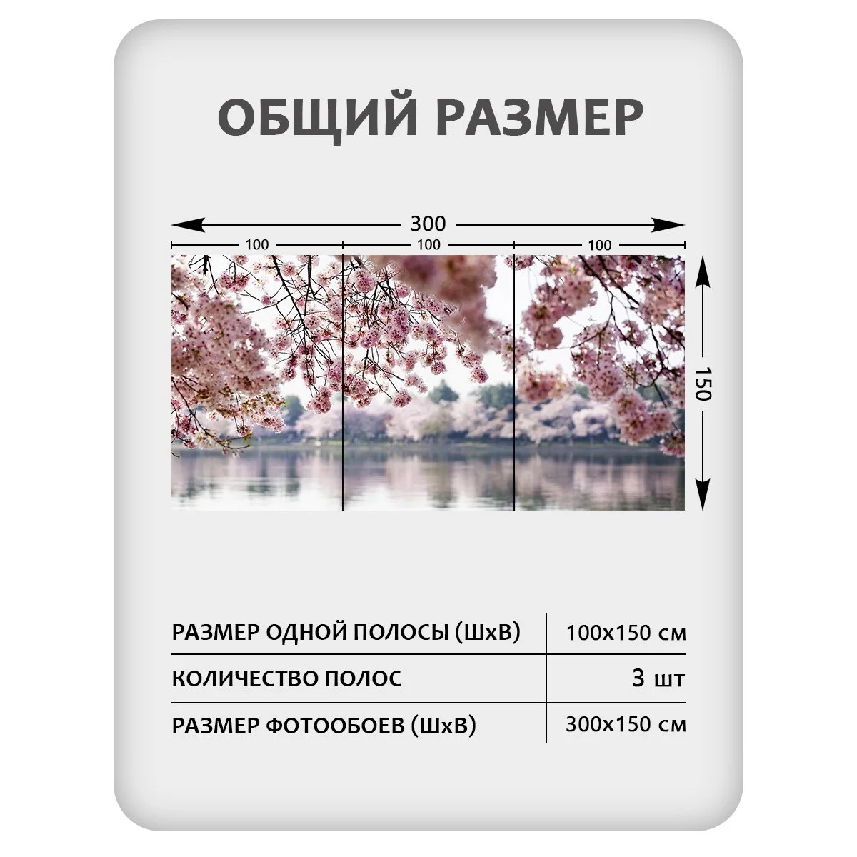 Фотообои рулонные Citydecor Цветы и Растения 49 на флизелиновой основе 300x150 см