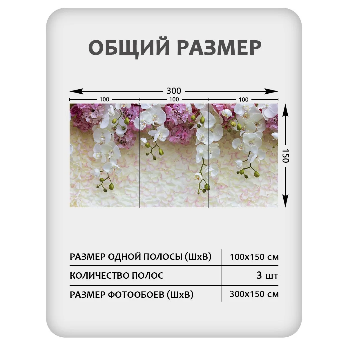 Фотообои рулонные Citydecor Цветы и Растения 50 на флизелиновой основе 300x150 см