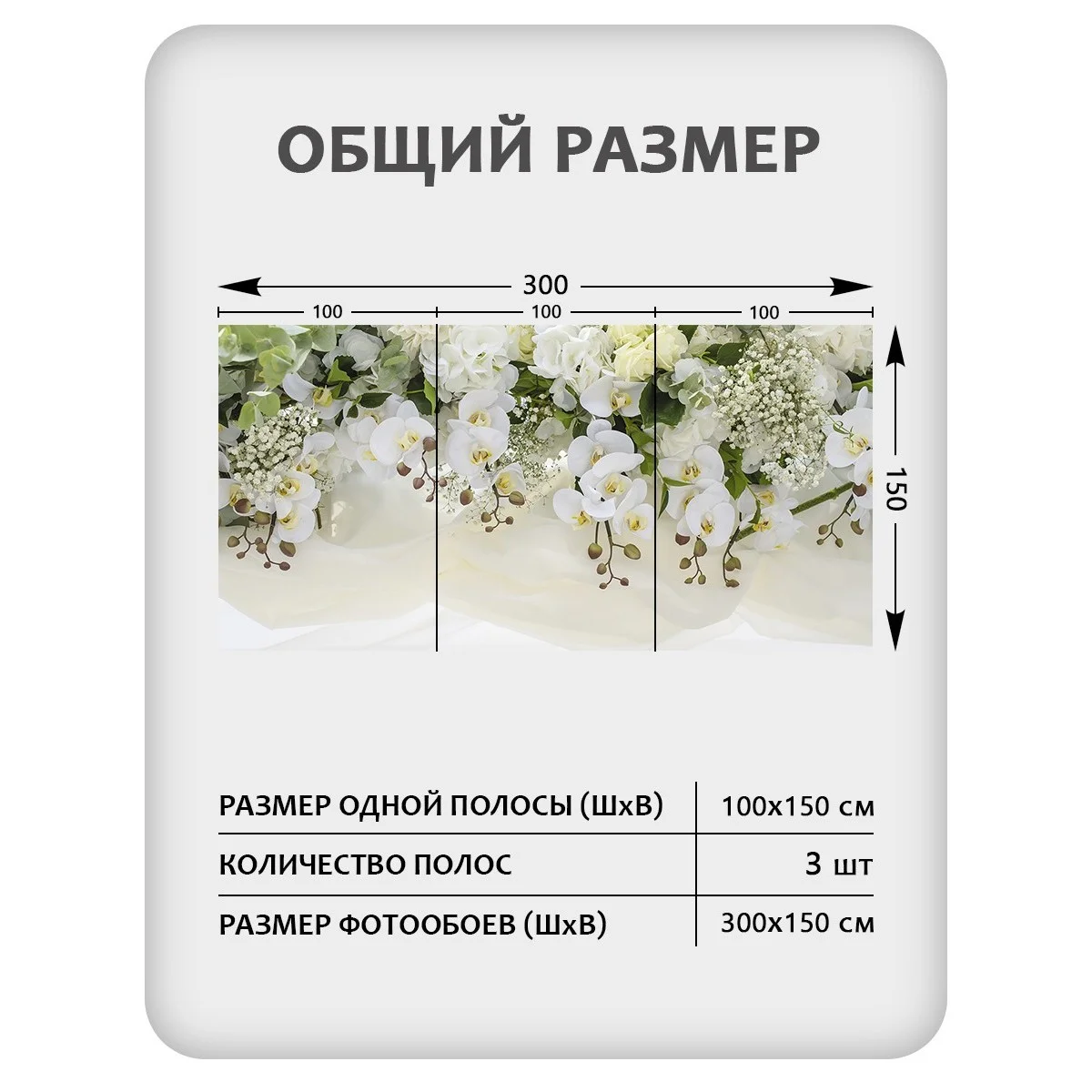 Фотообои рулонные Citydecor Цветы и Растения 52 на флизелиновой основе 300x150 см