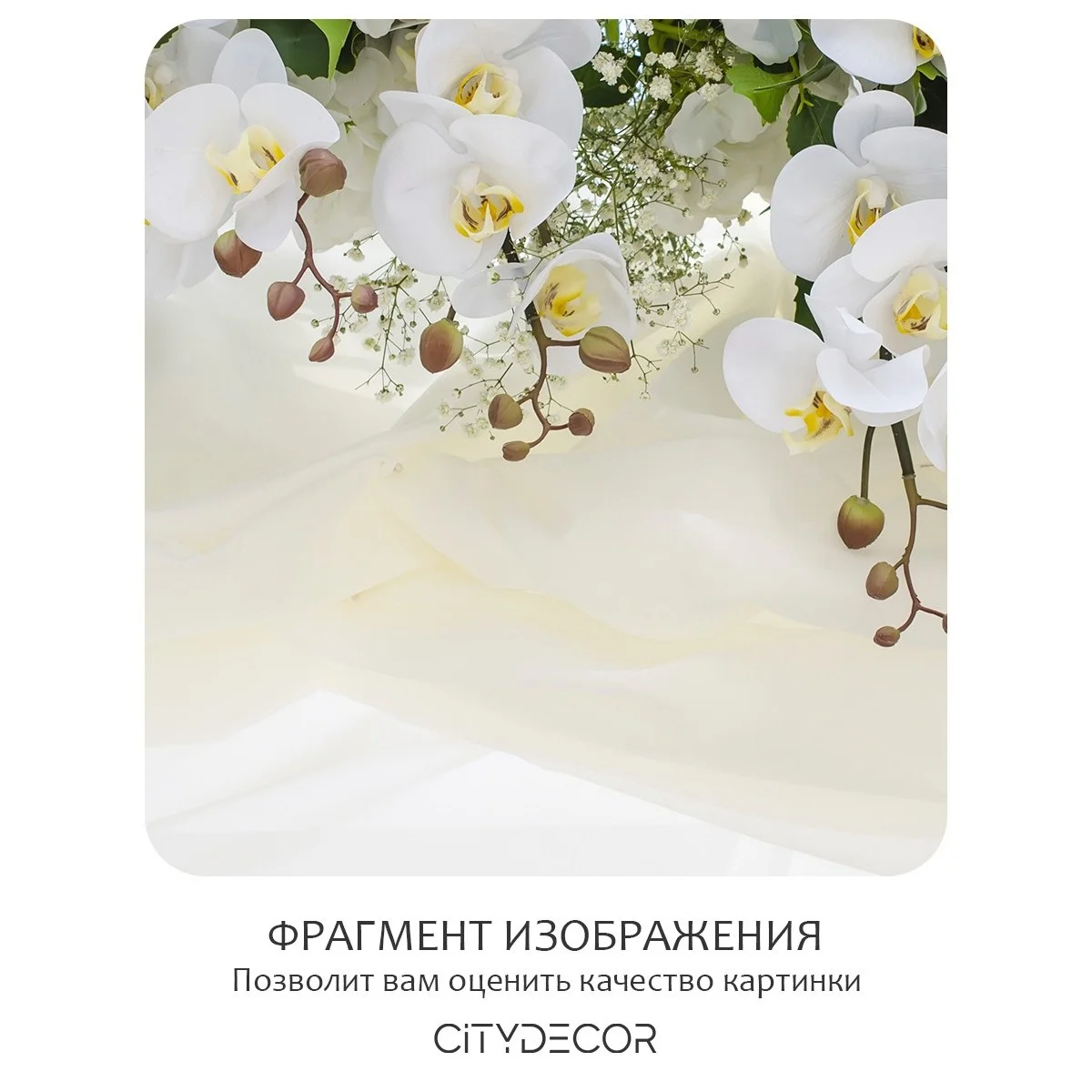 Фотообои рулонные Citydecor Цветы и Растения 52 на флизелиновой основе 300x150 см