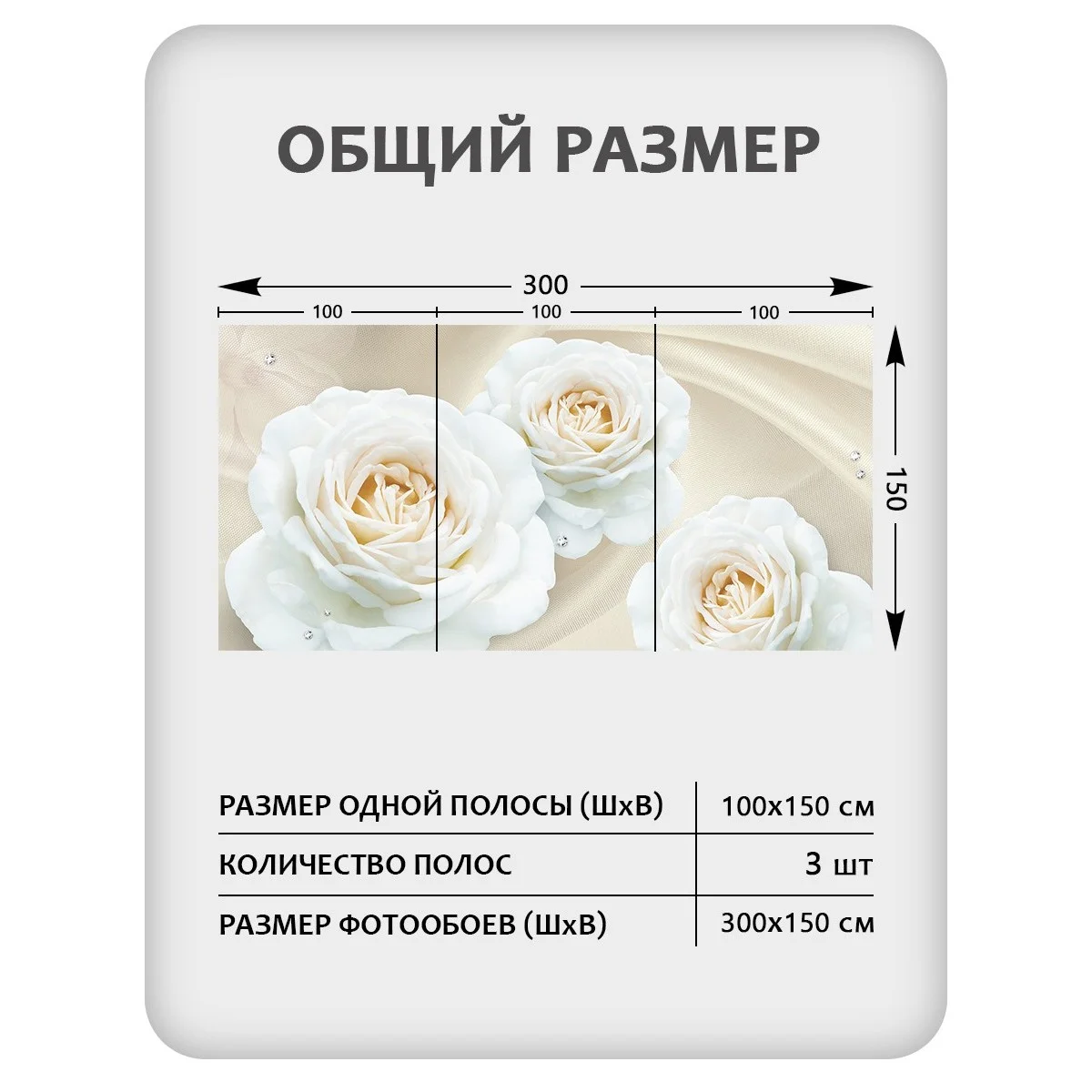 Фотообои рулонные Citydecor Цветы и Растения 57 на флизелиновой основе 300x150 см