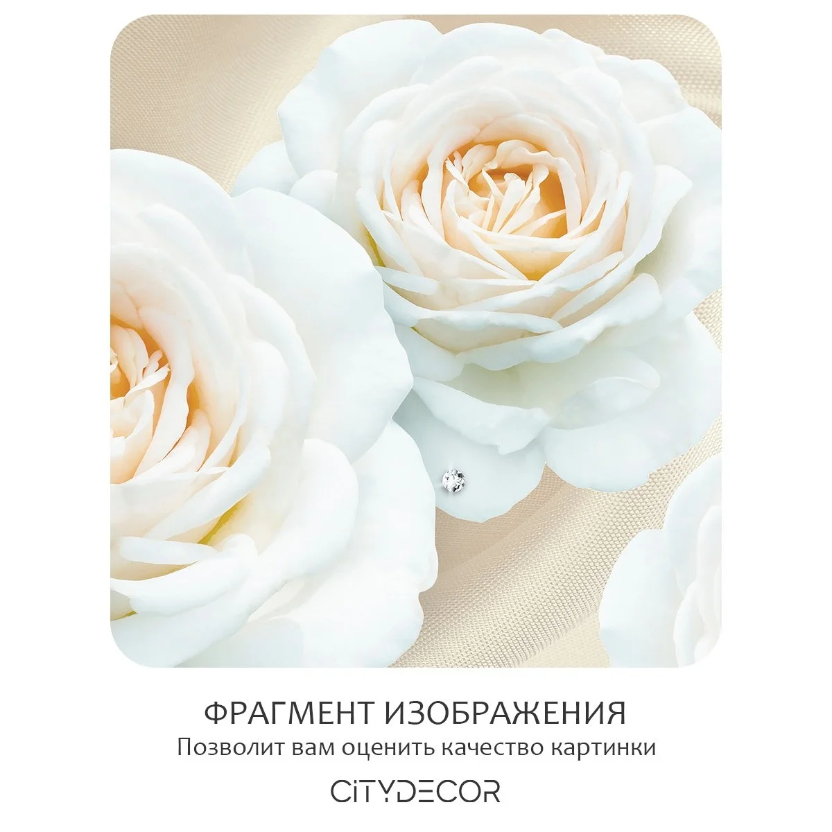 Фотообои рулонные Citydecor Цветы и Растения 57 на флизелиновой основе 300x150 см