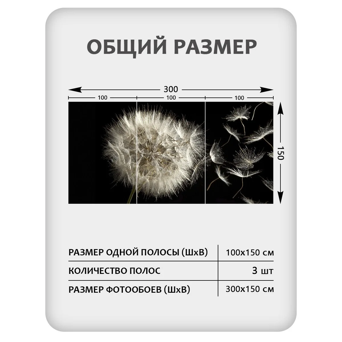 Фотообои рулонные Citydecor Цветы и Растения 58 на флизелиновой основе 300x150 см