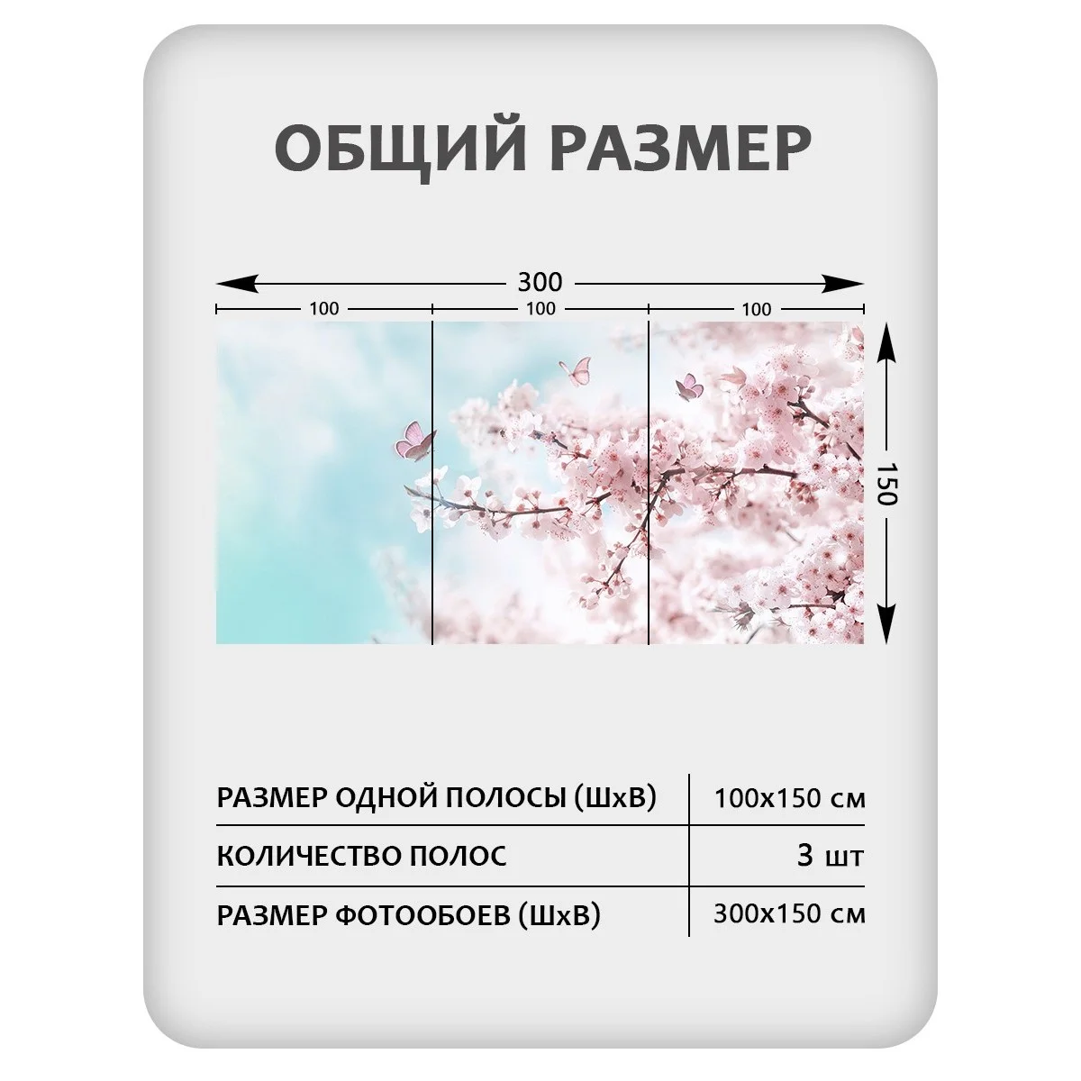 Фотообои рулонные Citydecor Цветы и Растения 67 на флизелиновой основе 300x150 см