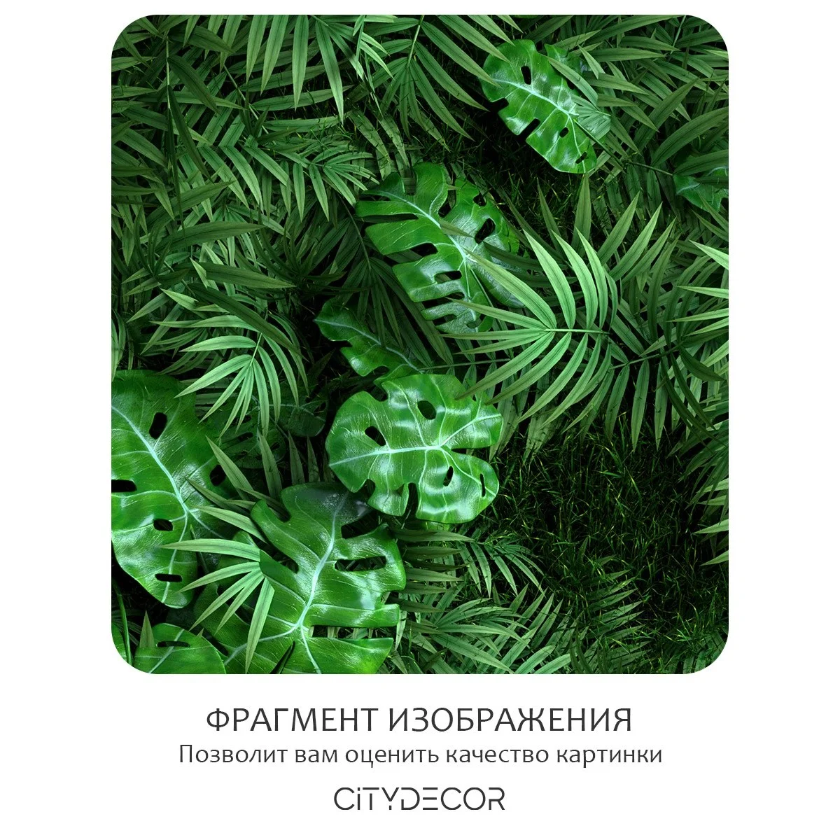 Фотообои рулонные Citydecor Цветы и Растения 71 на флизелиновой основе 300x150 см