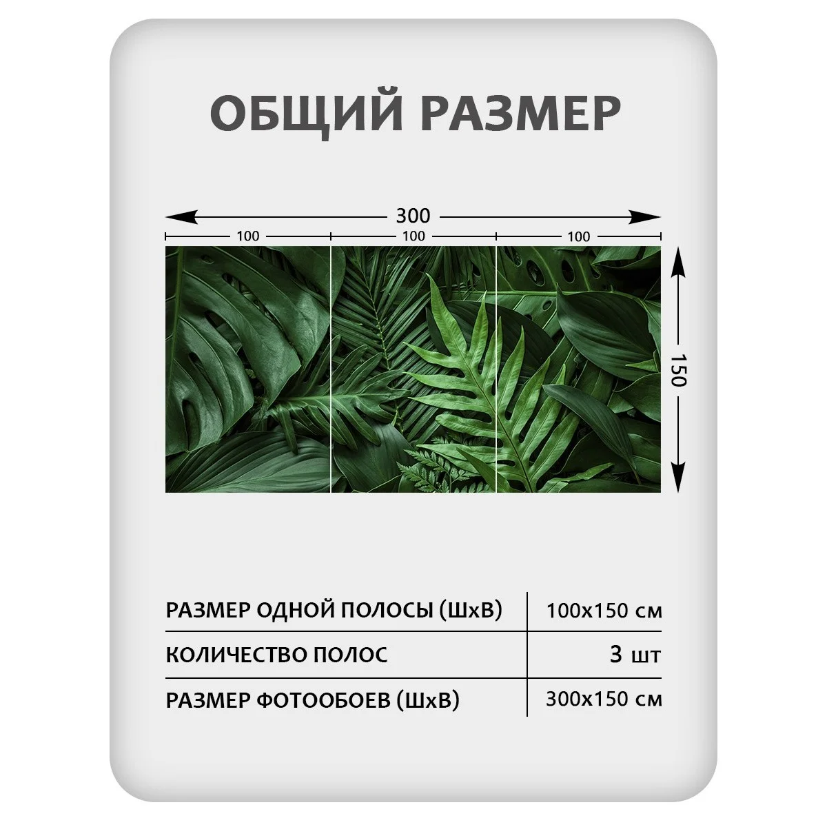 Фотообои рулонные Citydecor Цветы и Растения 73 на флизелиновой основе 300x150 см