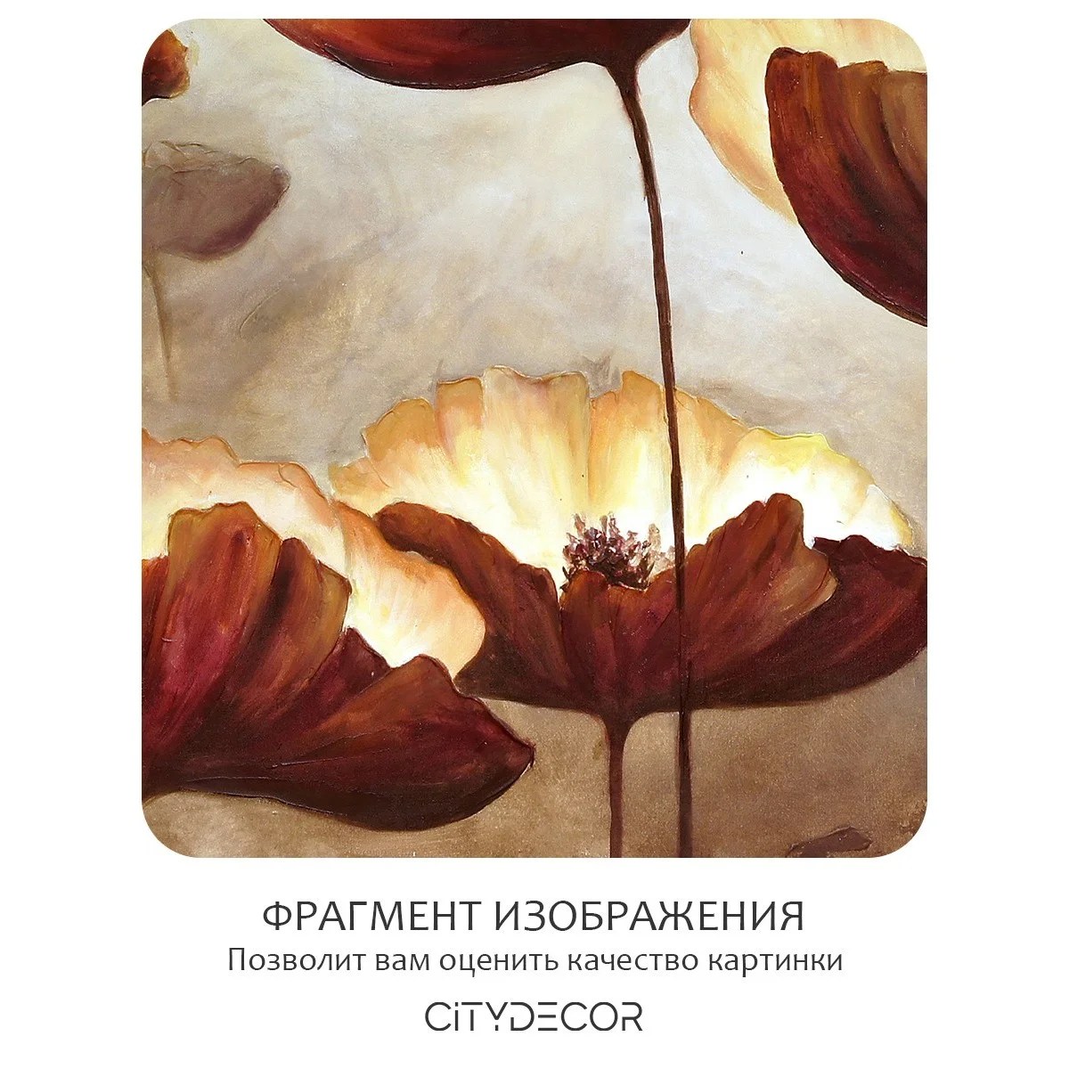 Фотообои рулонные Citydecor Цветы и Растения 79 на флизелиновой основе 300x150 см