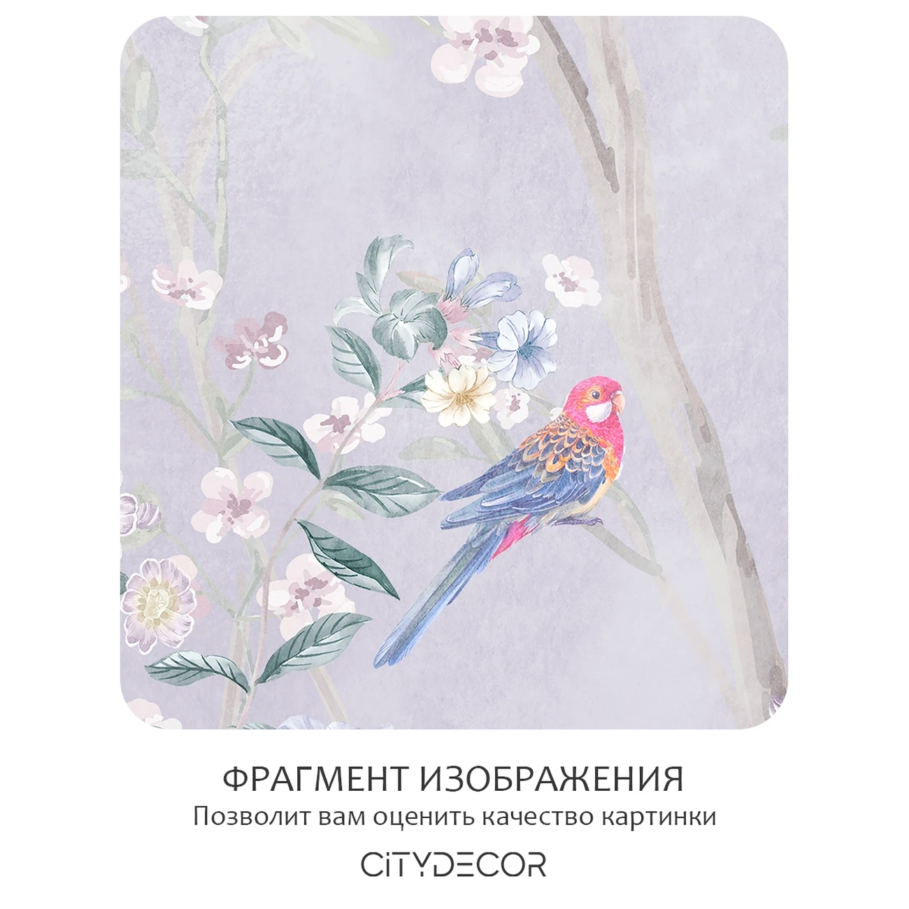 Фотообои рулонные Citydecor Flower town 24 на флизелиновой основе 300x150 см