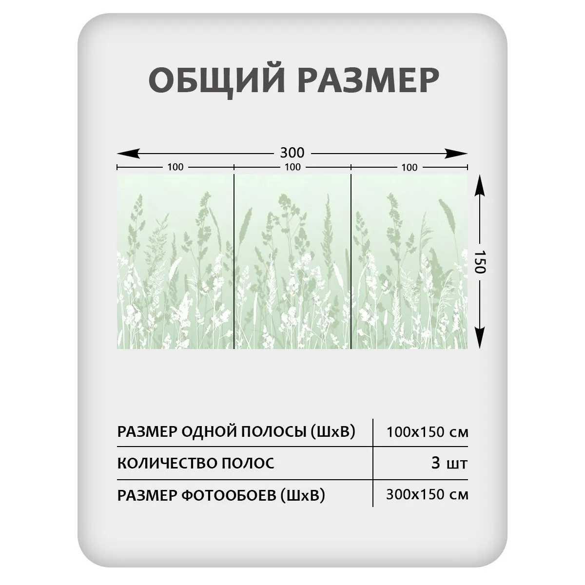 Фотообои рулонные Citydecor Невесомость 16 на флизелиновой основе 300x150 см