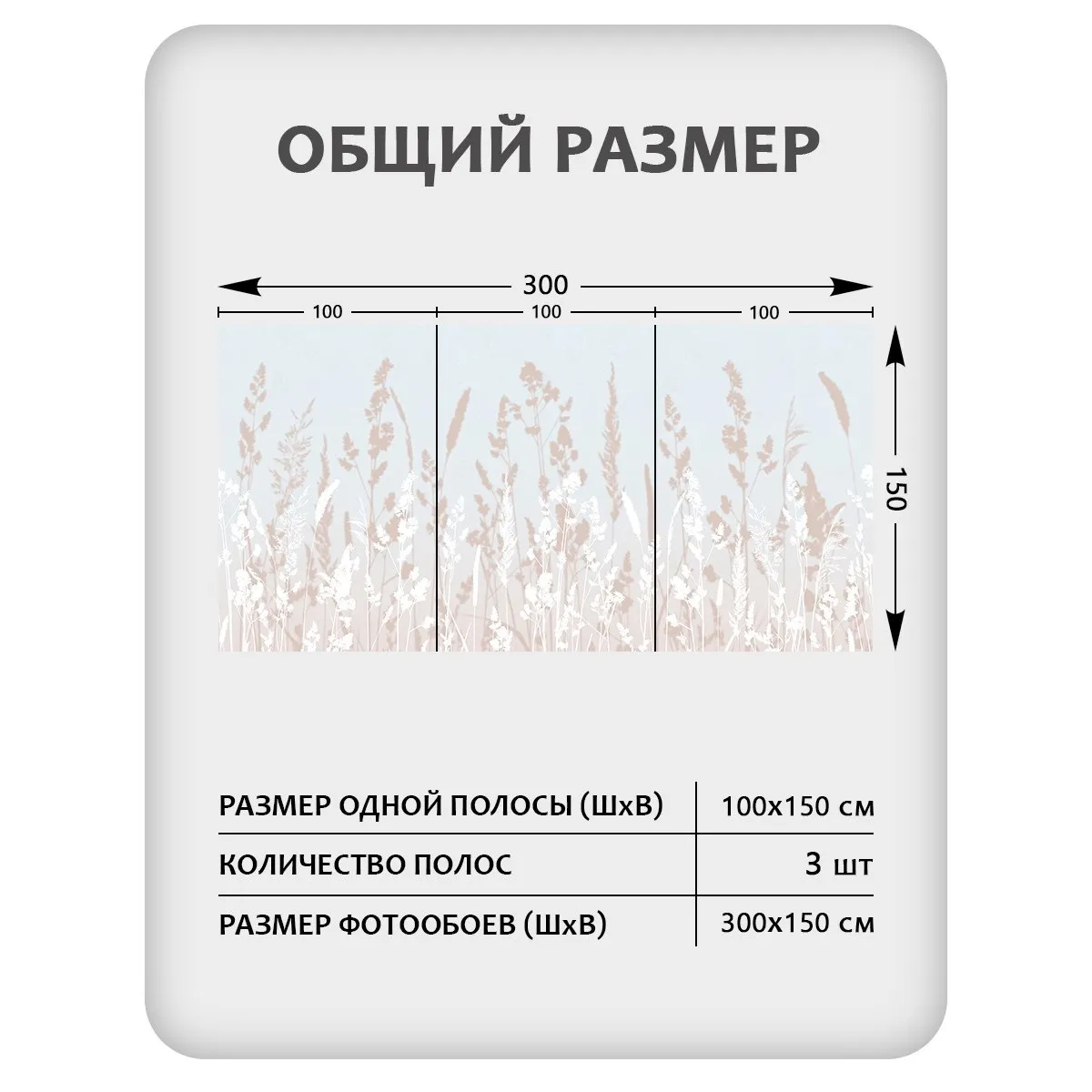 Фотообои рулонные Citydecor Невесомость 19 на флизелиновой основе 300x150 см