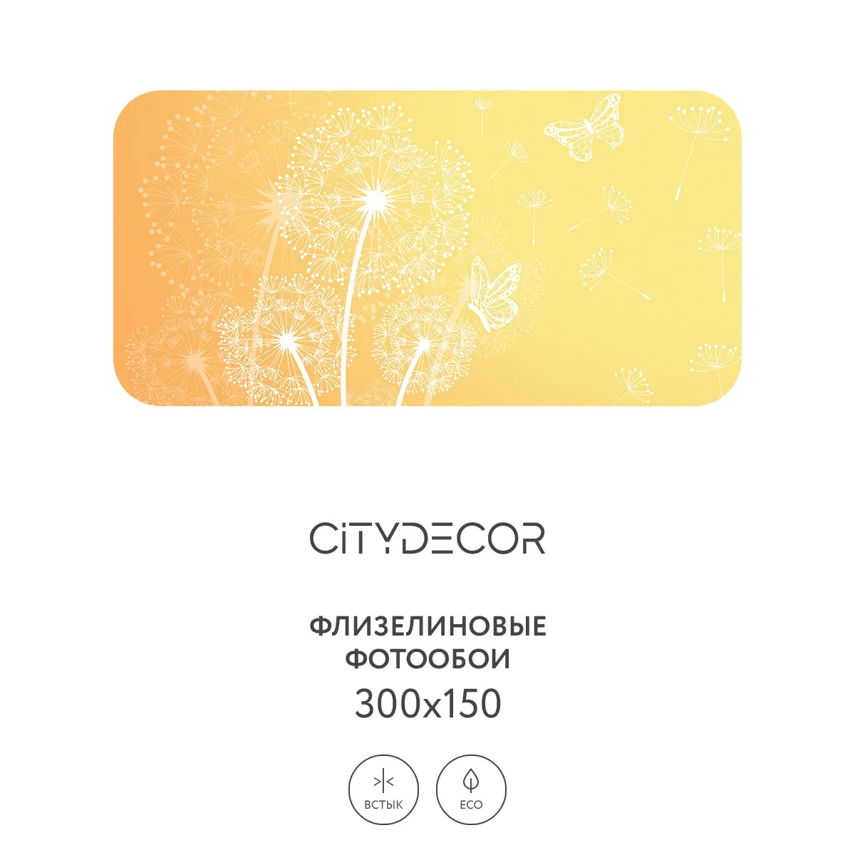 Фотообои рулонные Citydecor Невесомость 4 на флизелиновой основе 300x150 см