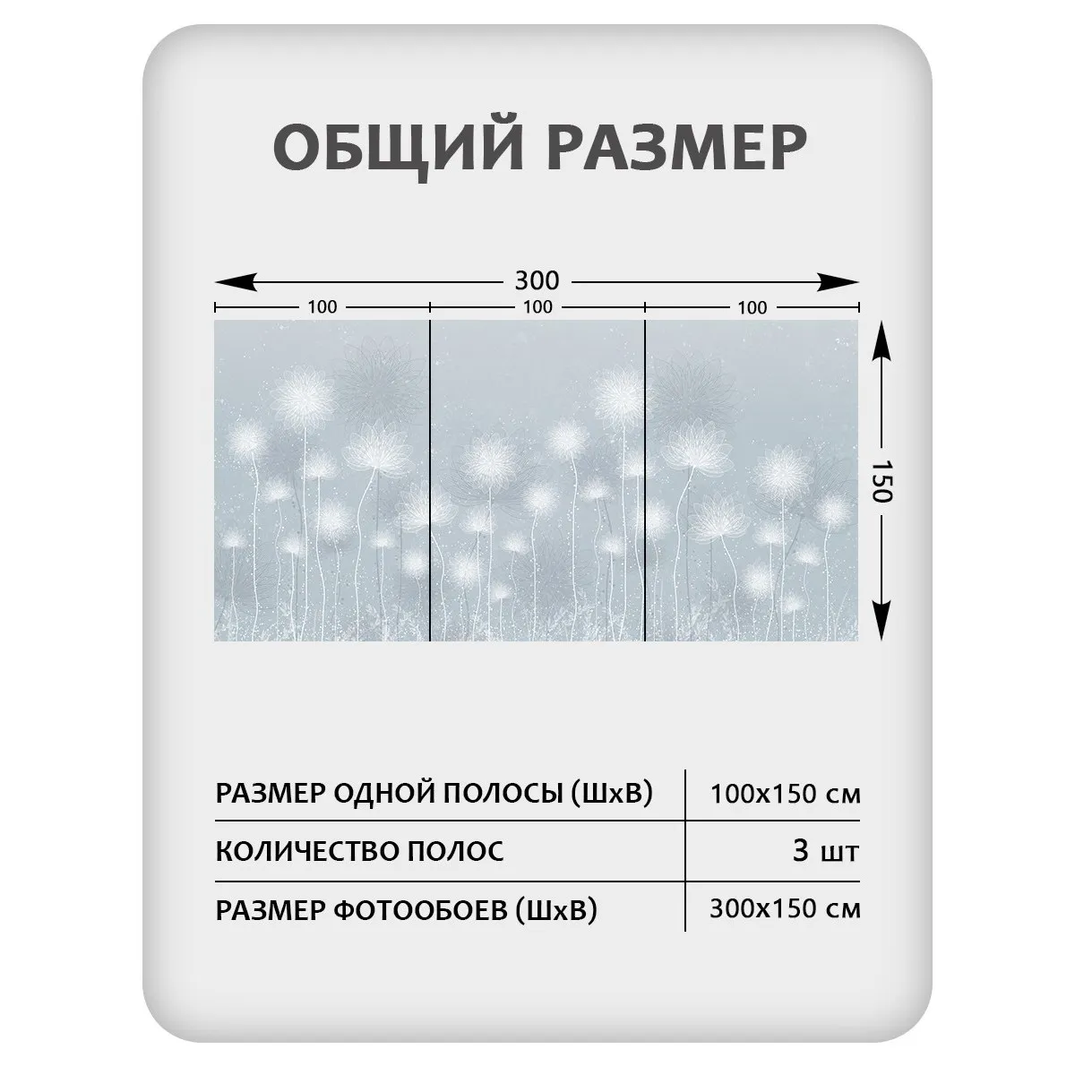 Фотообои рулонные Citydecor Невесомость 42 на флизелиновой основе 300x150 см