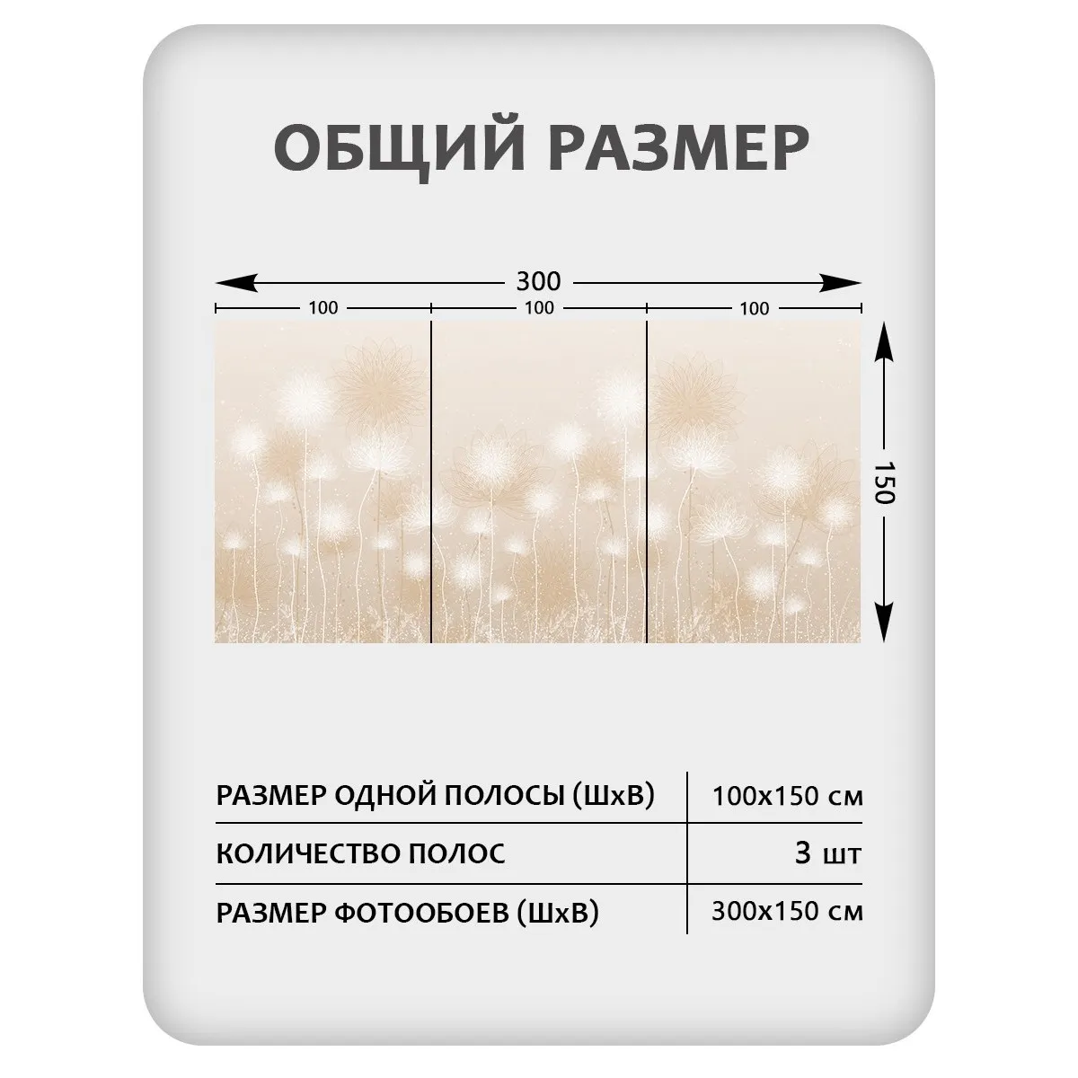 Фотообои рулонные Citydecor Невесомость 43 на флизелиновой основе 300x150 см