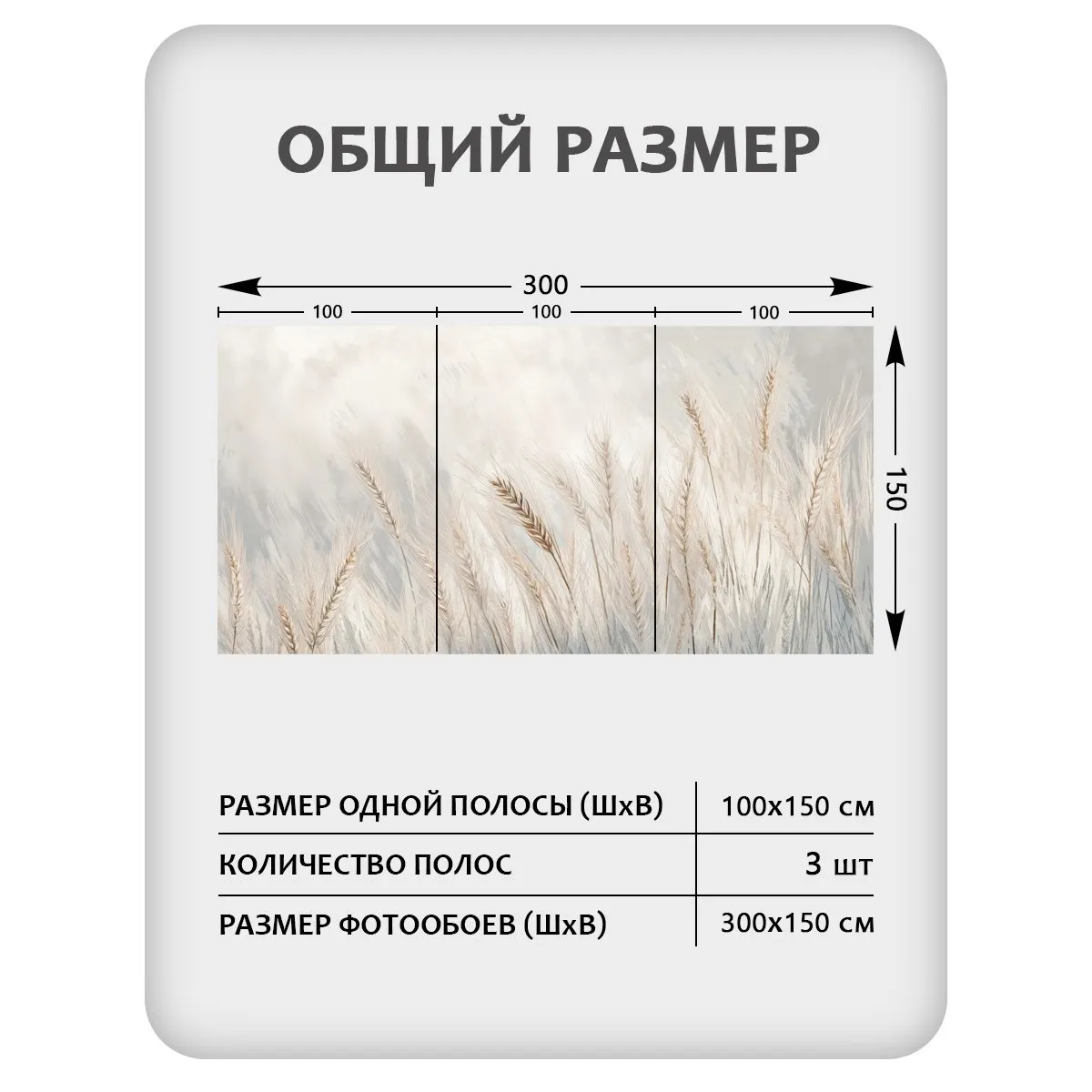 Фотообои рулонные Citydecor Невесомость 45 на флизелиновой основе 300x150 см