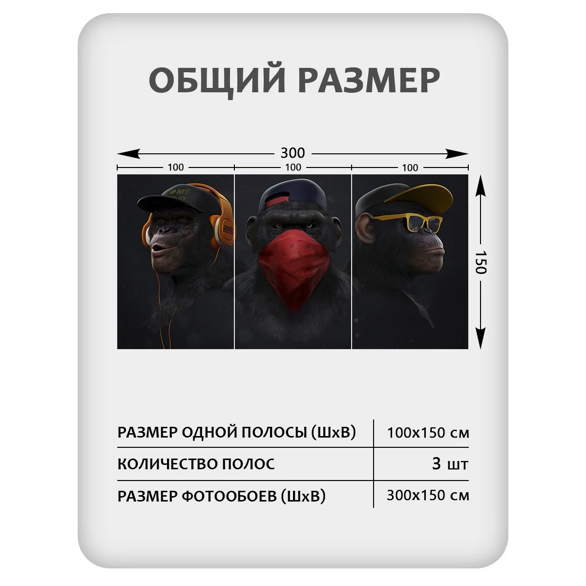 Фотообои рулонные Citydecor Люди и Знаменитости 4 на флизелиновой основе 300x150 см