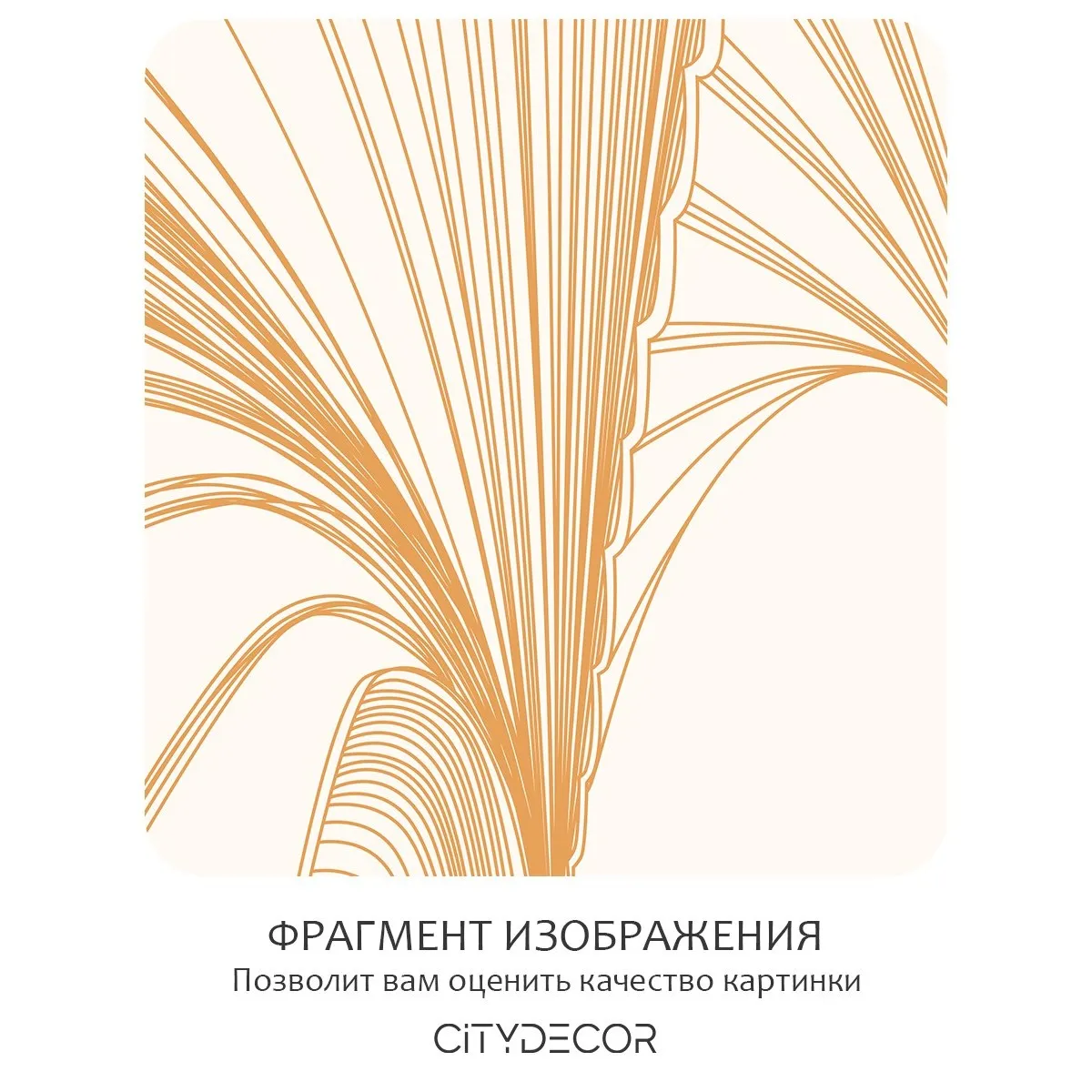 Фотообои рулонные Citydecor Perfect Lines 23 на флизелиновой основе 300x150 см