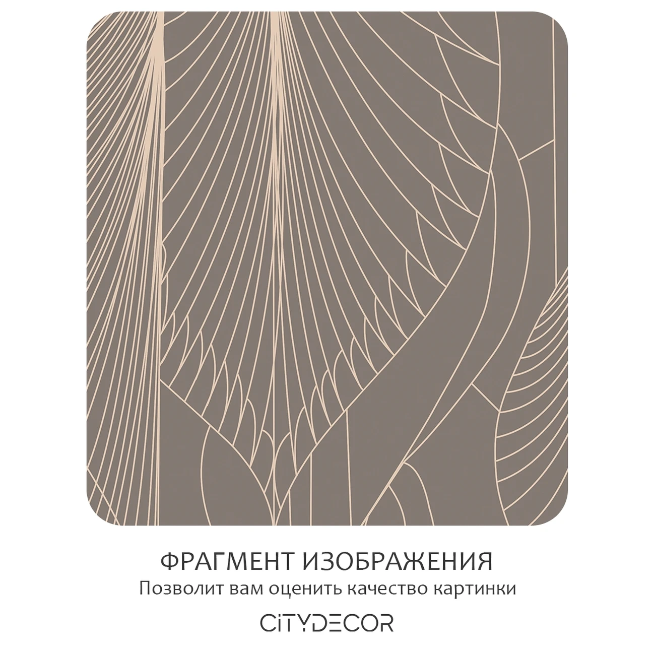 Фотообои рулонные Citydecor Perfect Lines 66 на флизелиновой основе 300x150 см