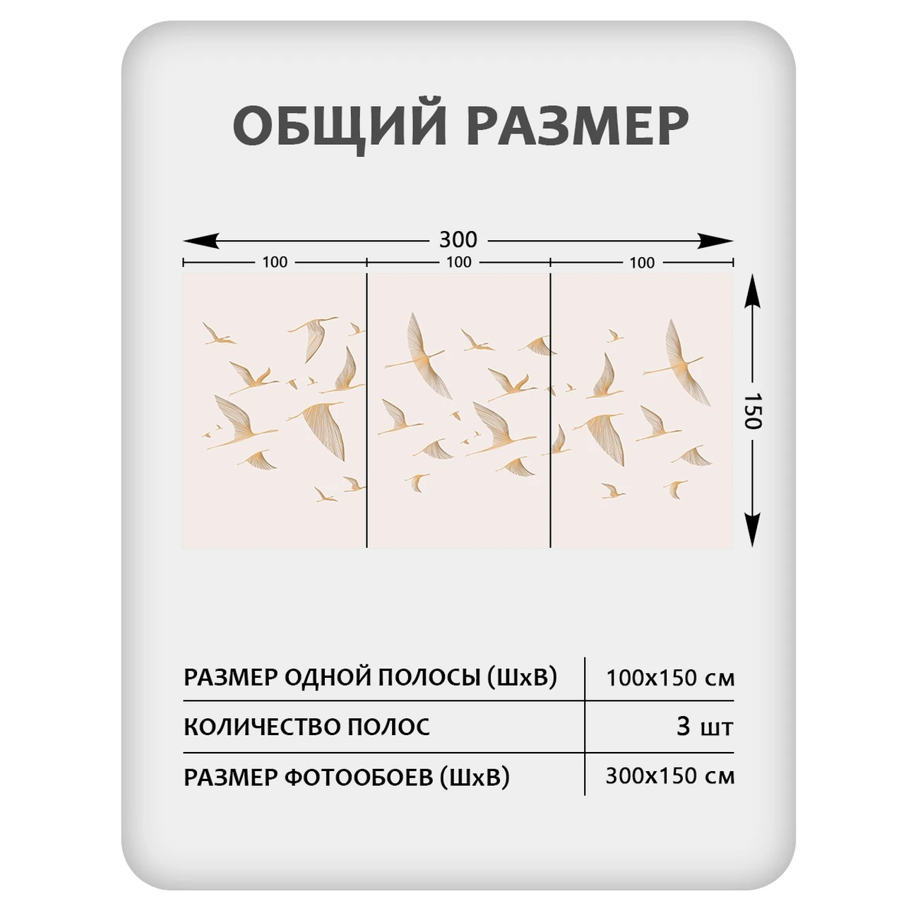 Фотообои рулонные Citydecor Perfect Lines 67 на флизелиновой основе 300x150 см