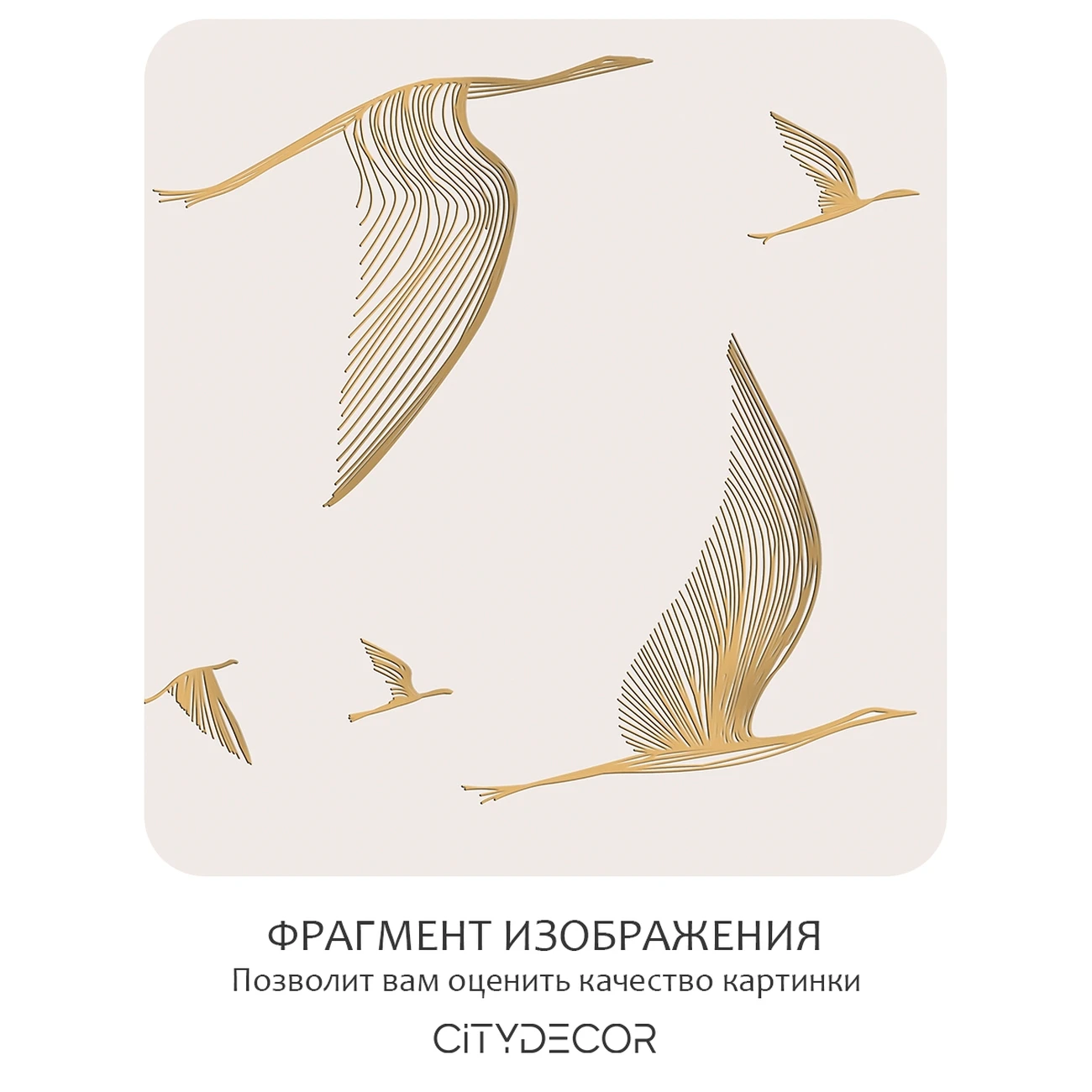 Фотообои рулонные Citydecor Perfect Lines 67 на флизелиновой основе 300x150 см