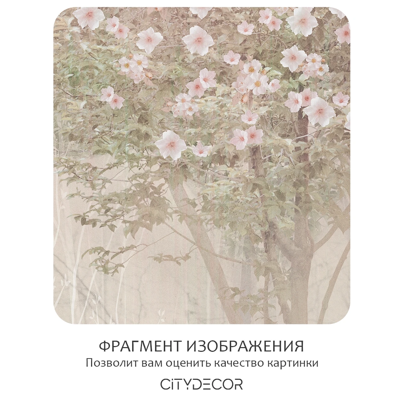 Фотообои рулонные Citydecor Природа 143 на флизелиновой основе 300x150 см