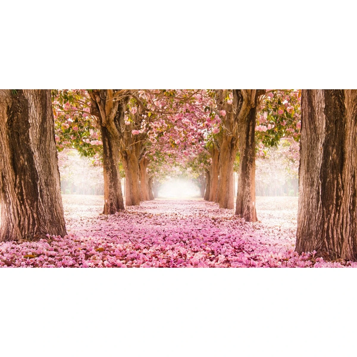 Фотообои рулонные Citydecor Природа 14 на флизелиновой основе 300x150 см