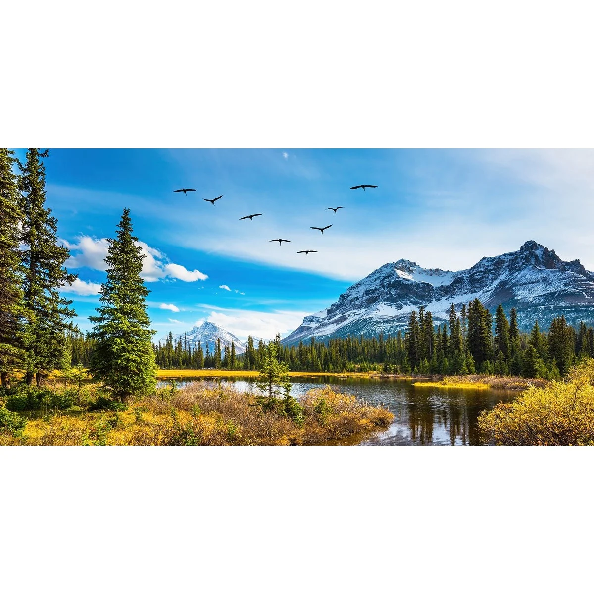 Фотообои рулонные Citydecor Природа 30 на флизелиновой основе 300x150 см