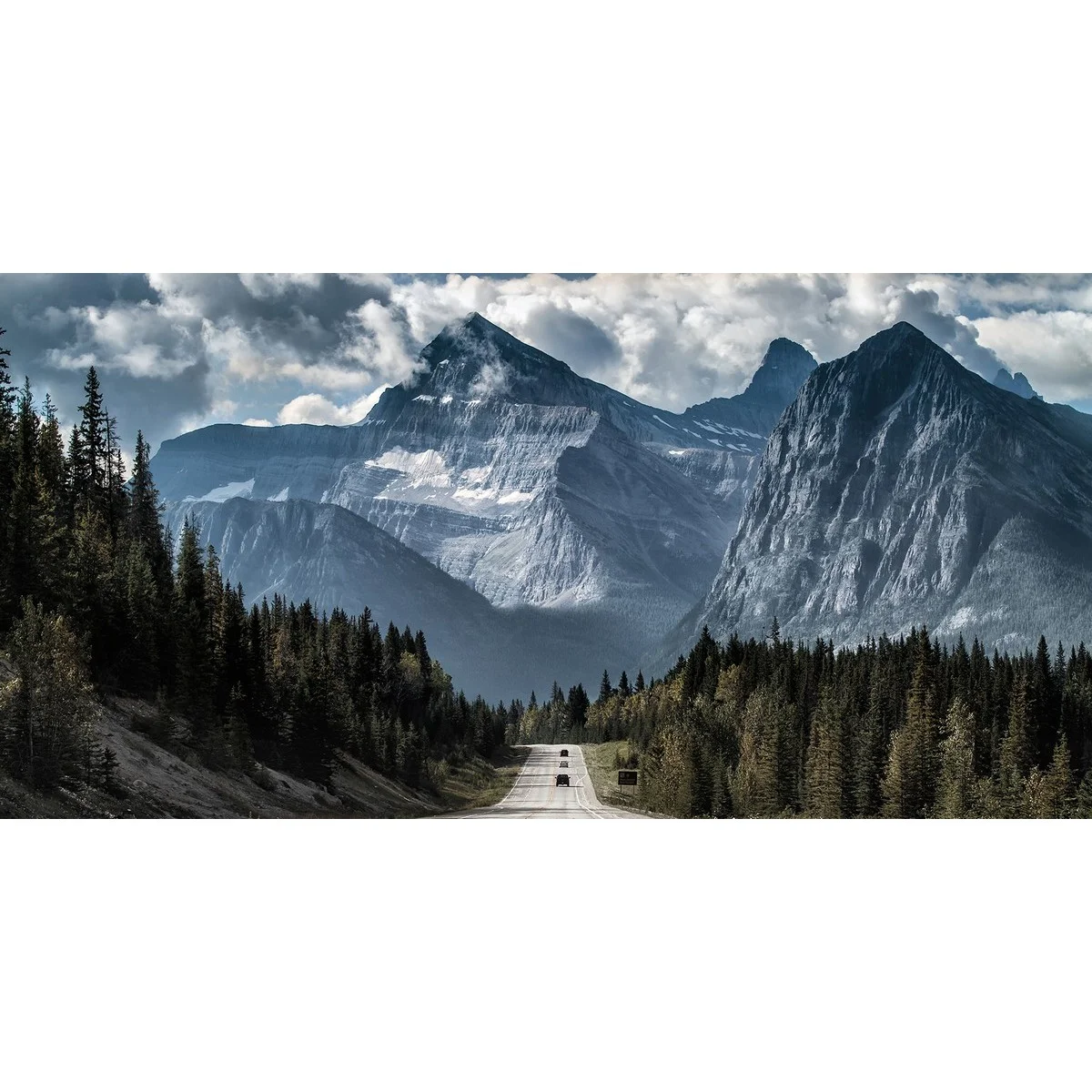 Фотообои рулонные Citydecor Природа 35 на флизелиновой основе 300x150 см