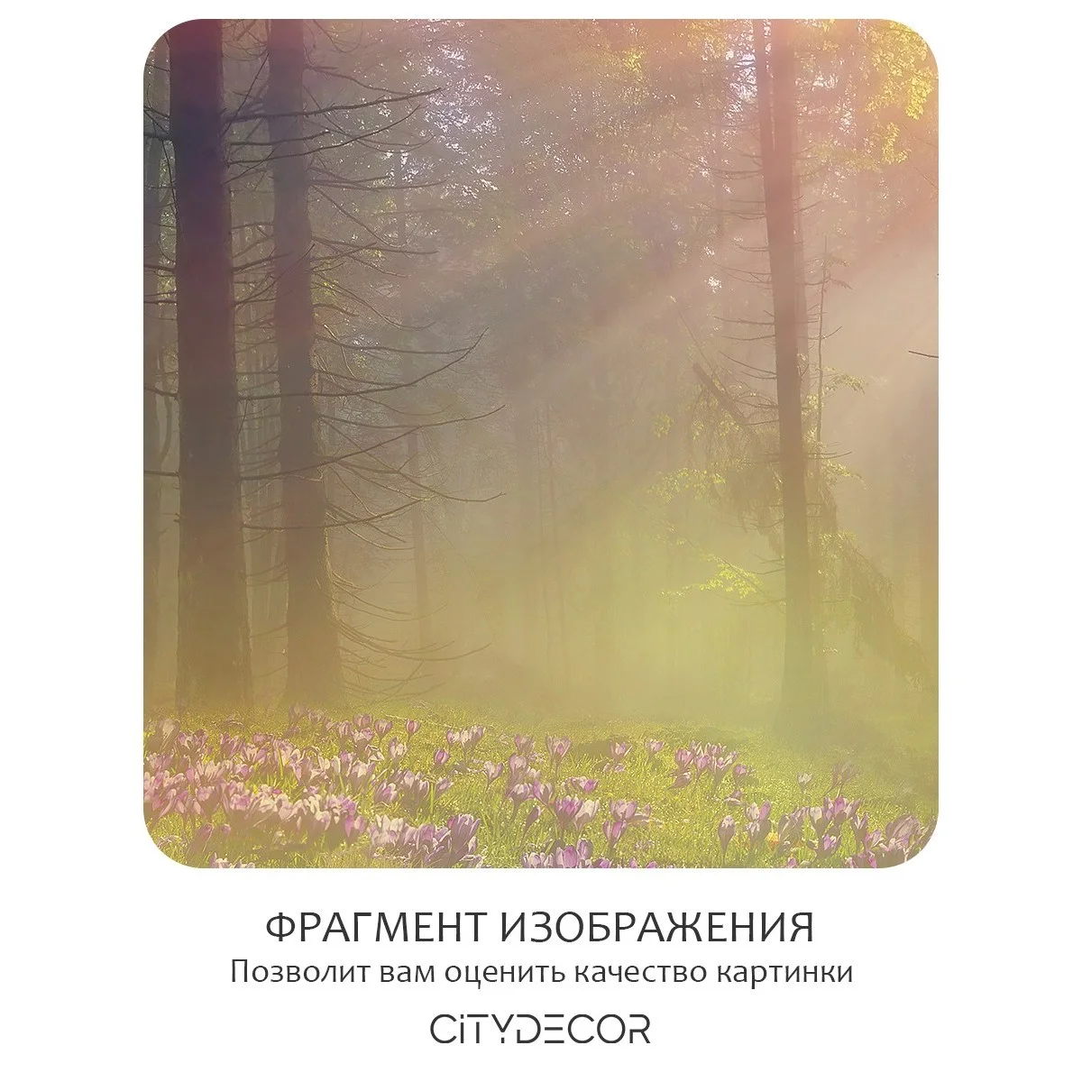 Фотообои рулонные Citydecor Природа 39 на флизелиновой основе 300x150 см