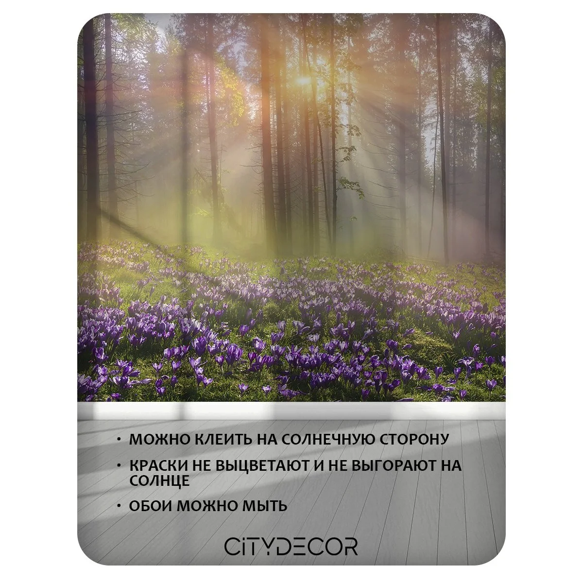 Фотообои рулонные Citydecor Природа 39 на флизелиновой основе 300x150 см