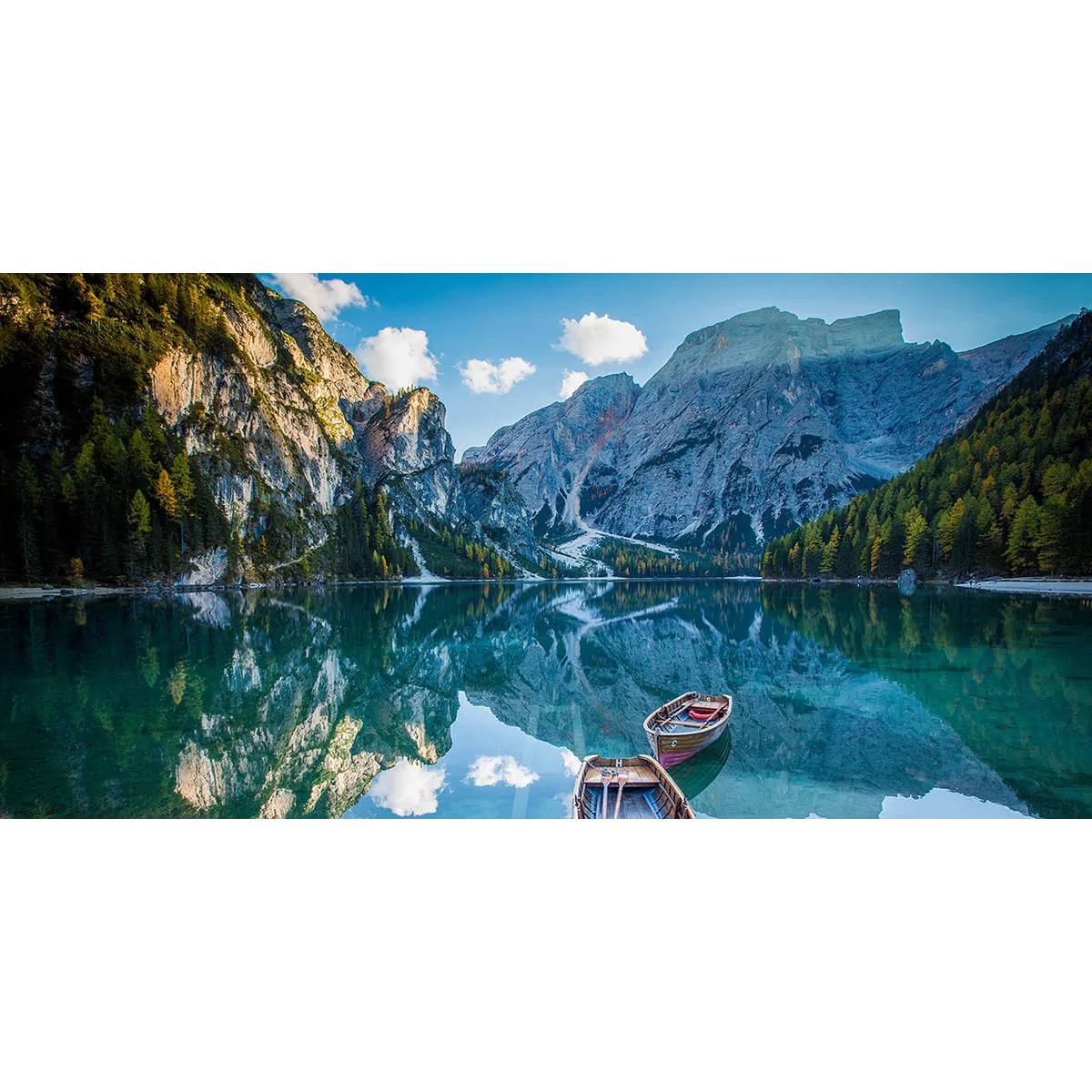 Фотообои рулонные Citydecor Природа 95 на флизелиновой основе 300x150 см