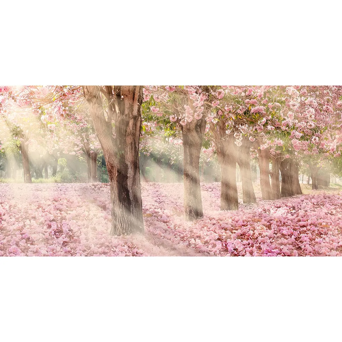 Фотообои рулонные Citydecor Сказочная природа 5 на флизелиновой основе 300x150 см