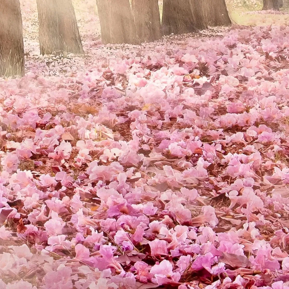 Фотообои рулонные Citydecor Сказочная природа 5 на флизелиновой основе 300x150 см