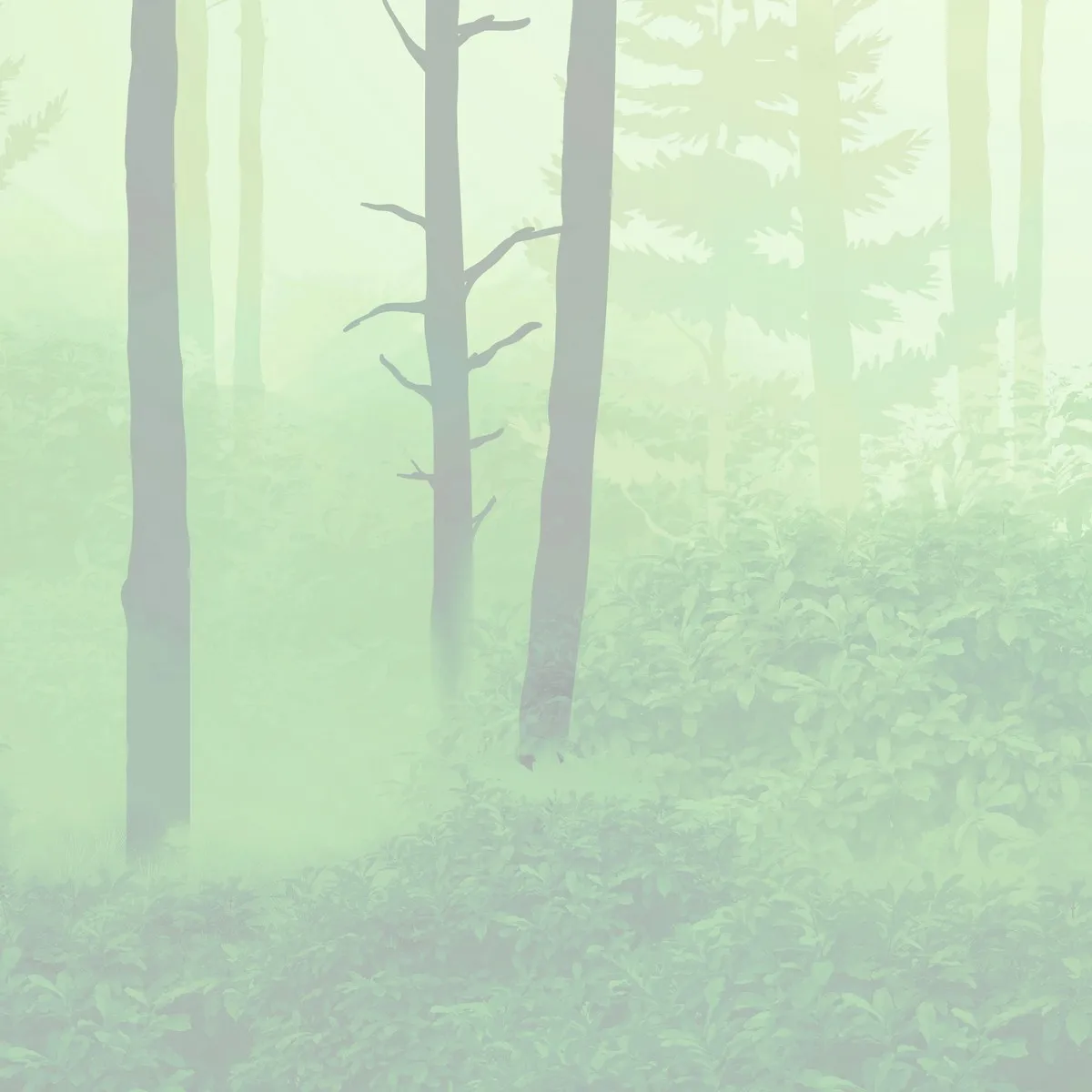 Дизайнерские фотообои рулонные Citydecor Таинственный лес 12 на флизелиновой основе 300x150 см