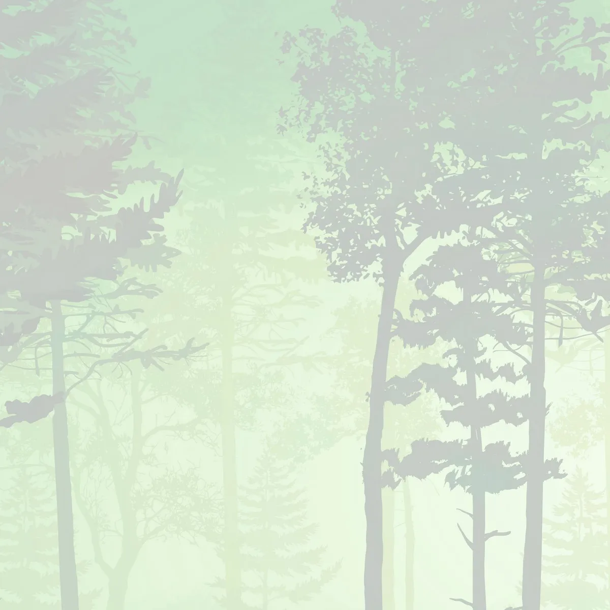 Дизайнерские фотообои рулонные Citydecor Таинственный лес 12 на флизелиновой основе 300x150 см