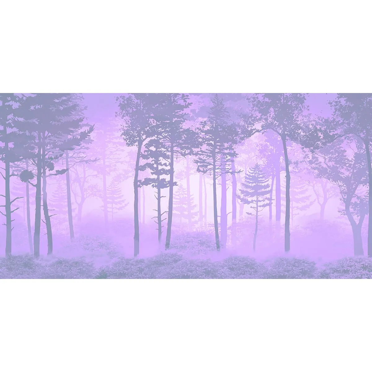 Дизайнерские фотообои рулонные Citydecor Таинственный лес 13 на флизелиновой основе 300x150 см