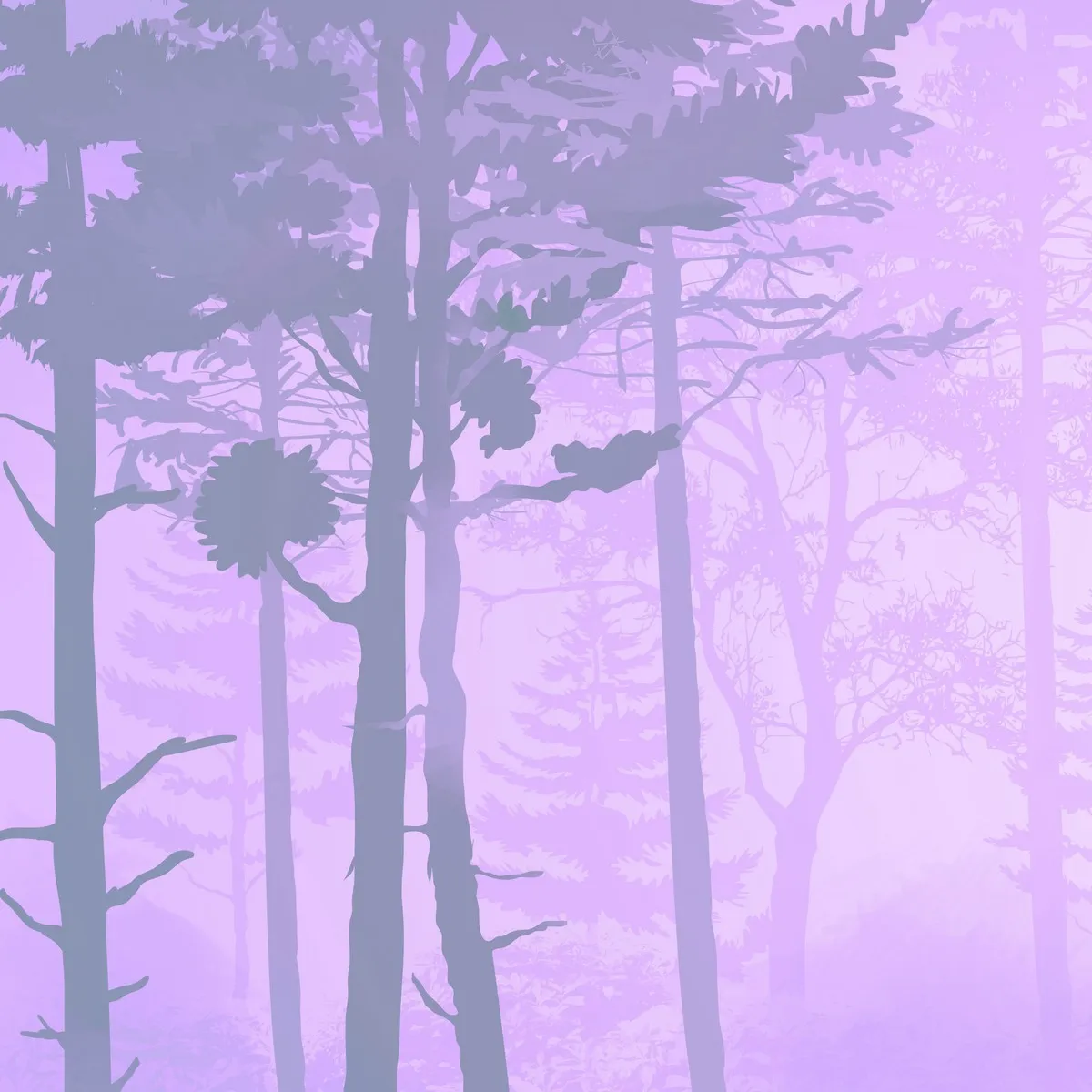 Дизайнерские фотообои рулонные Citydecor Таинственный лес 13 на флизелиновой основе 300x150 см