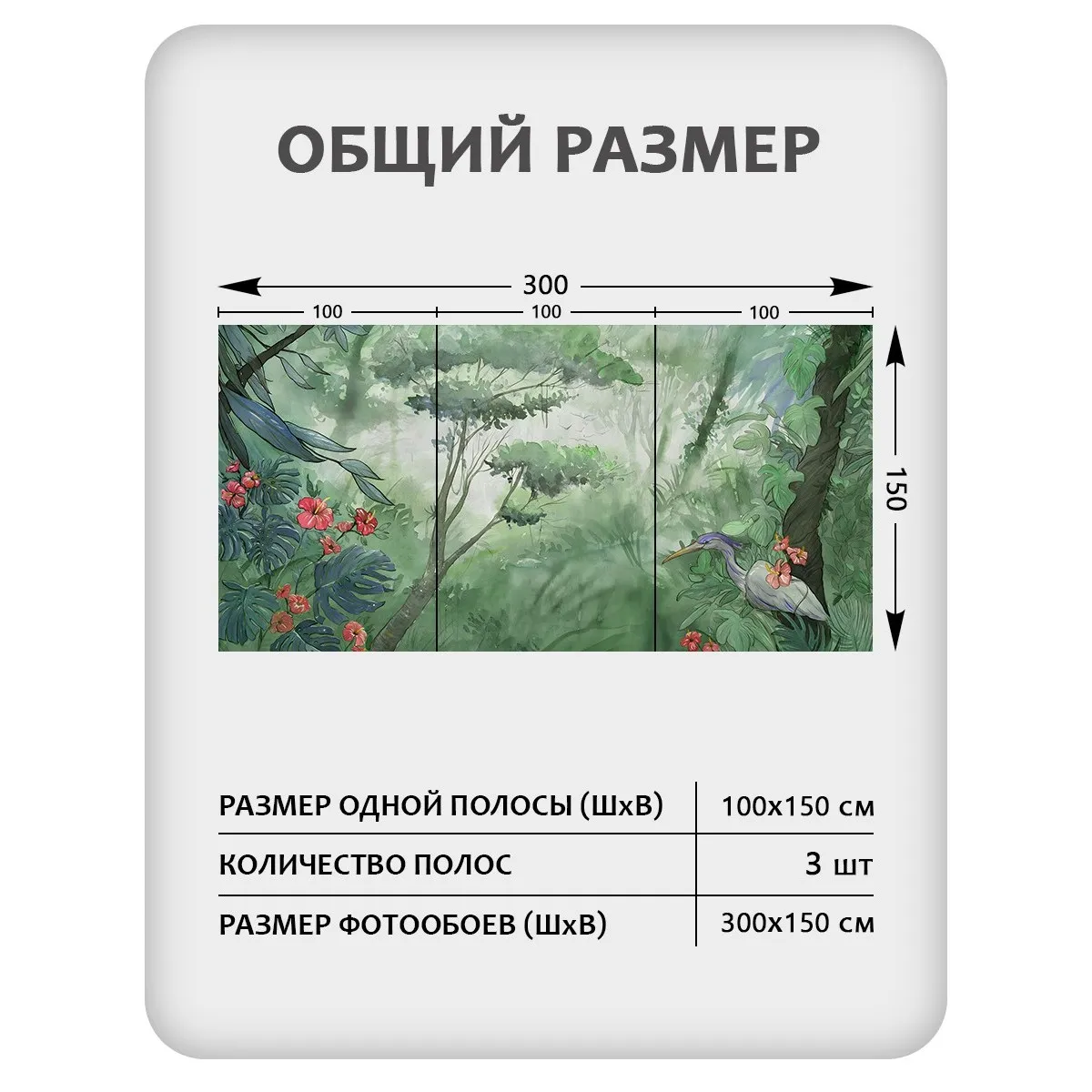 Фотообои рулонные Citydecor Таинственный лес 16 на флизелиновой основе 300x150 см