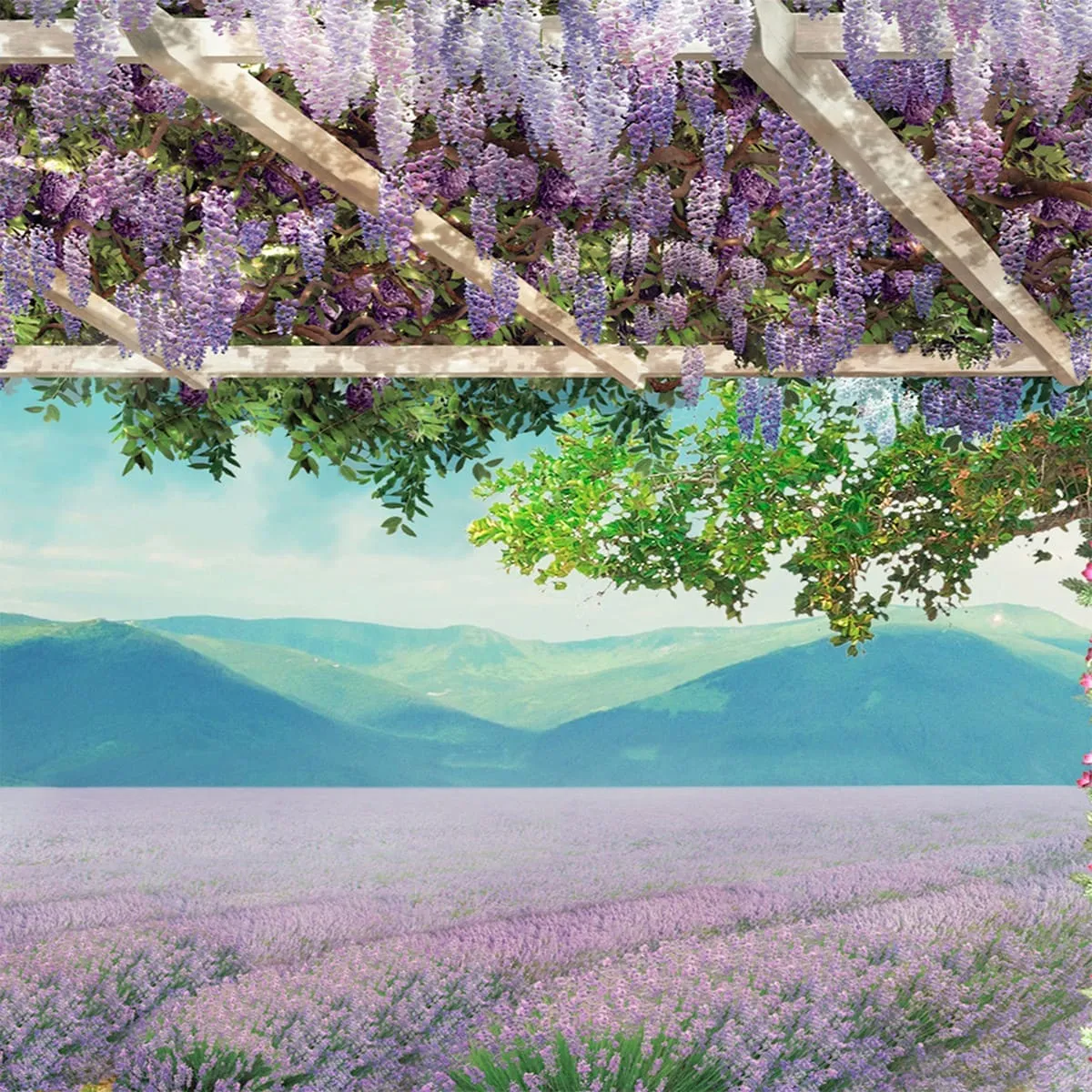 Фотообои рулонные Citydecor Терраса 3 на флизелиновой основе 300x150 см