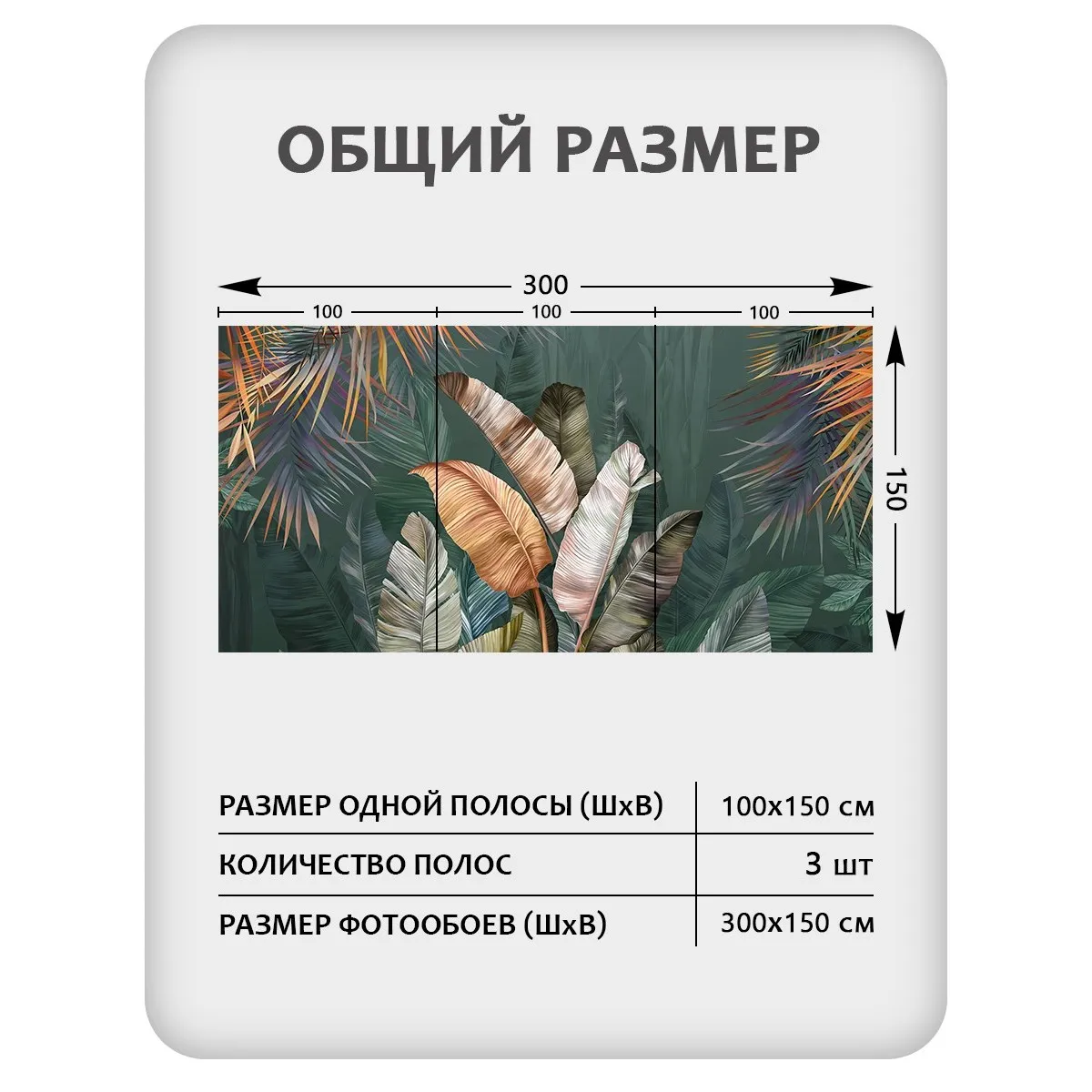 Фотообои рулонные Citydecor Знойные тропики 21 на флизелиновой основе 300x150 см