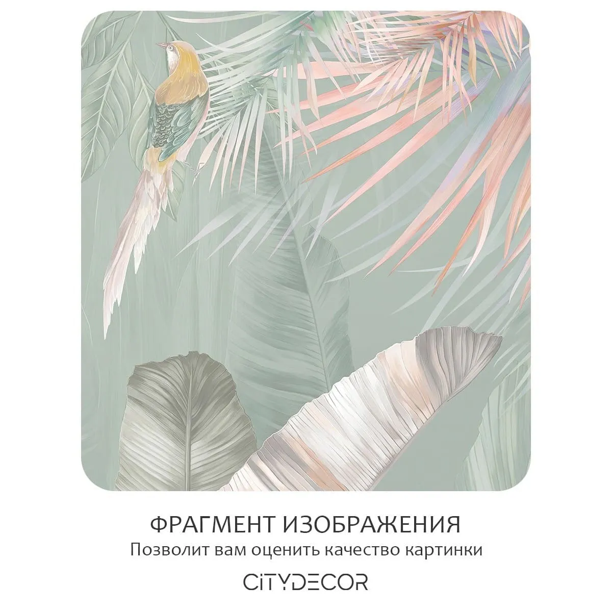 Фотообои рулонные Citydecor Знойные тропики 24 на флизелиновой основе 300x150 см