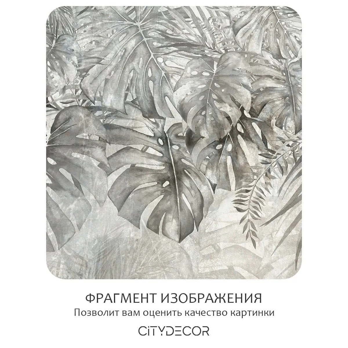 Фотообои рулонные Citydecor Знойные тропики 34 на флизелиновой основе 300x150 см