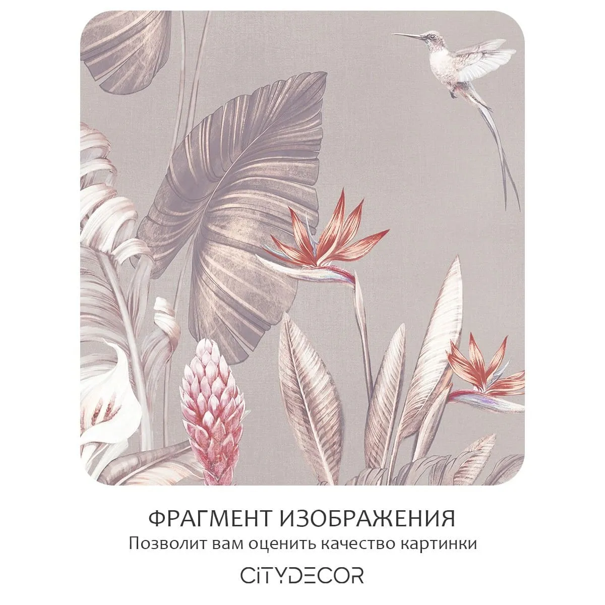 Фотообои рулонные Citydecor Знойные тропики 36 на флизелиновой основе 300x150 см