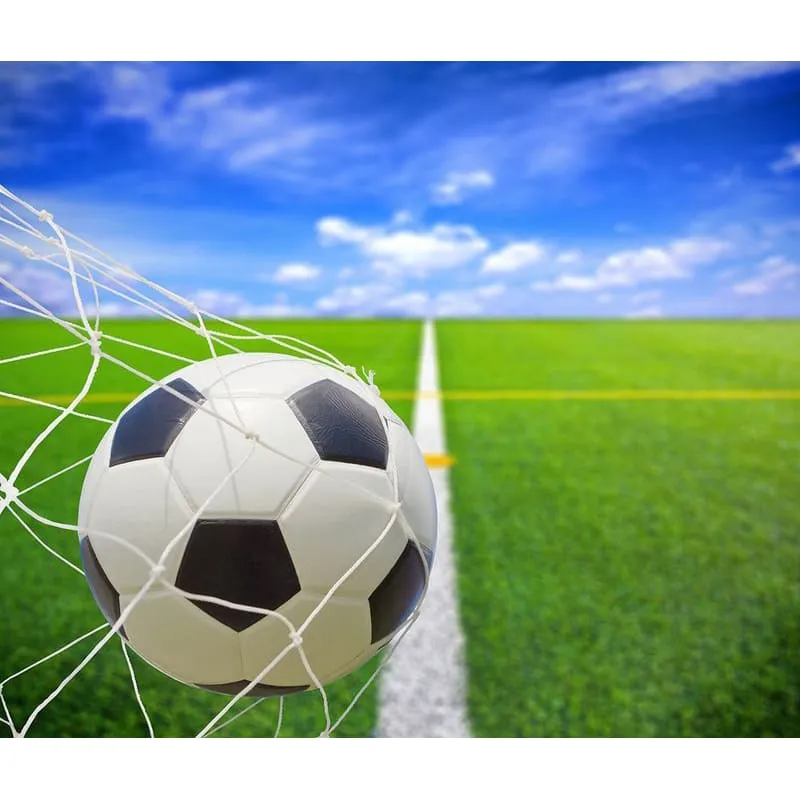 Фотообои рулонные Citydecor Гол на флизелиновой основе 300x254 см