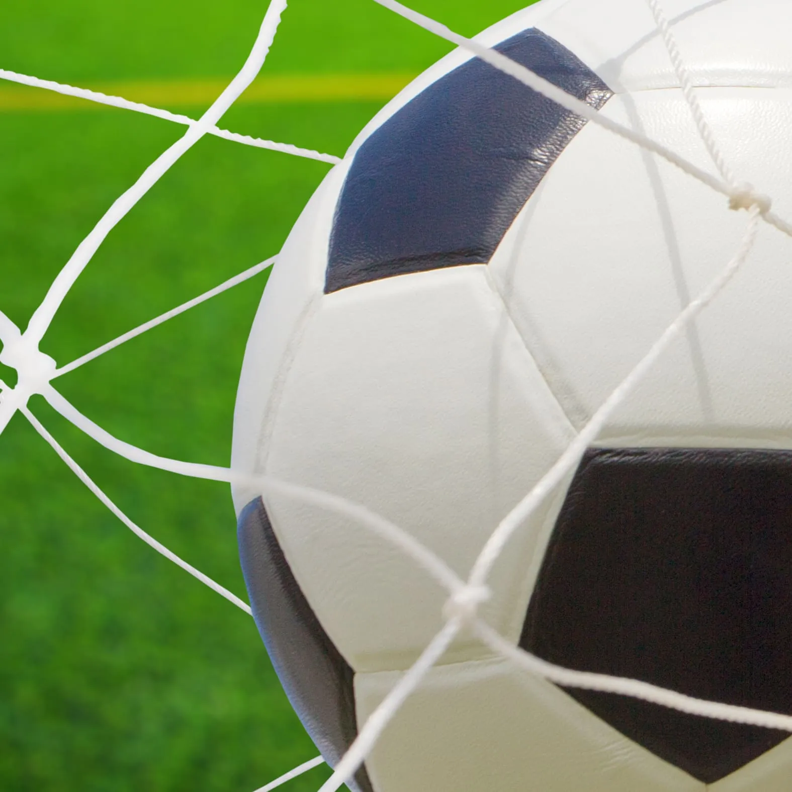 Фотообои рулонные Citydecor Гол на флизелиновой основе 300x254 см