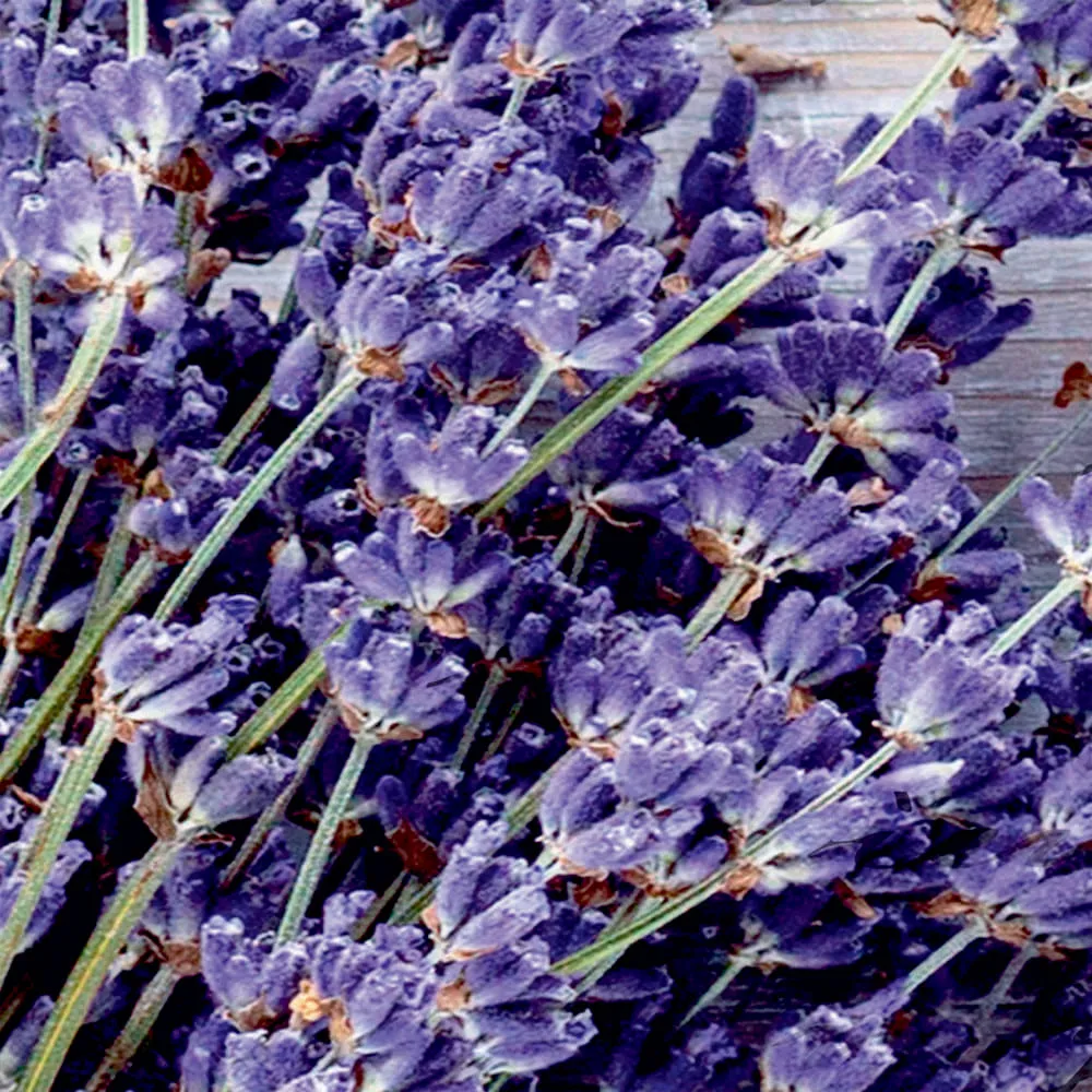 Фотообои рулонные Citydecor Открытка 3D на флизелиновой основе 300x254 см