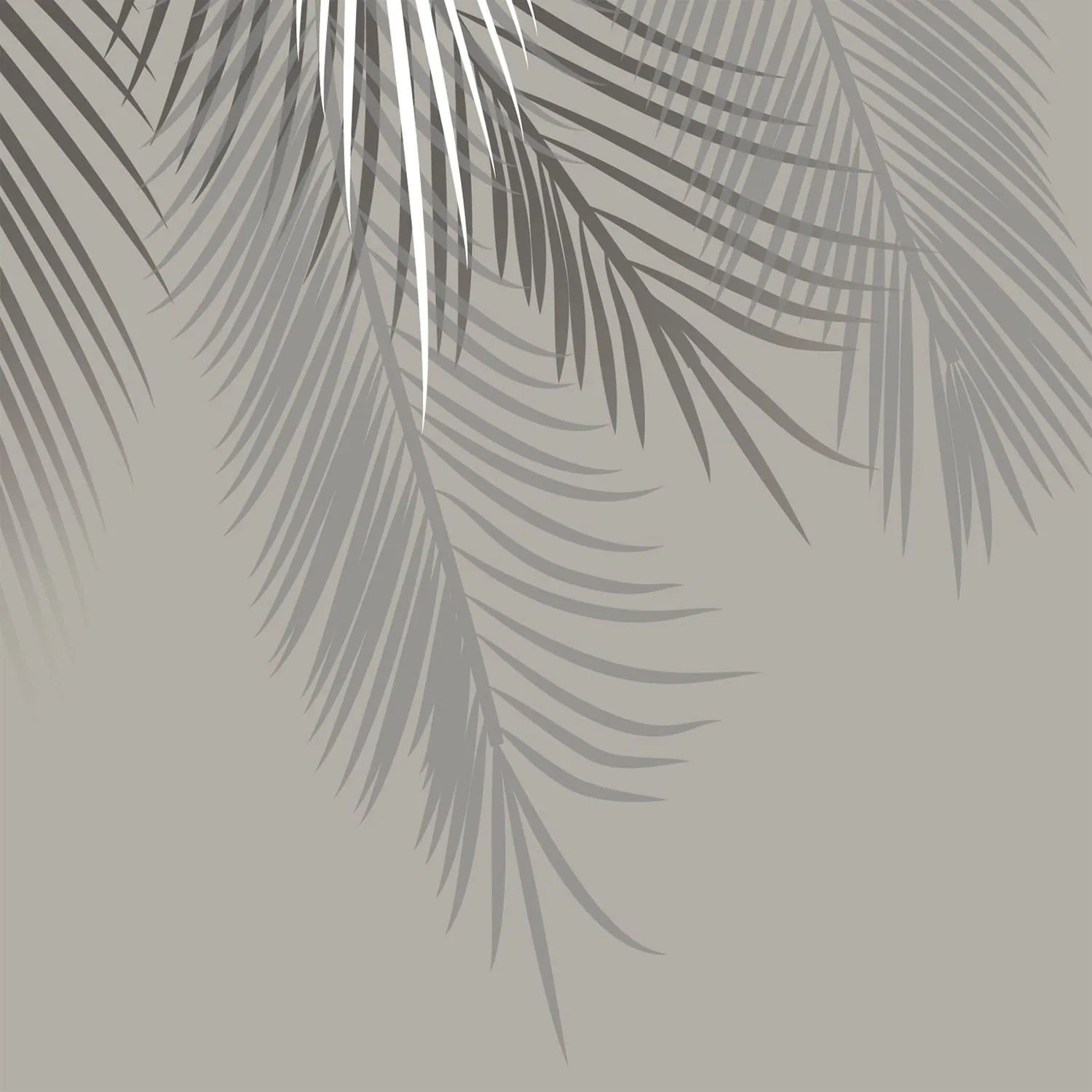 Фотообои рулонные Citydecor Пальмовые листья на флизелиновой основе 300x254 см