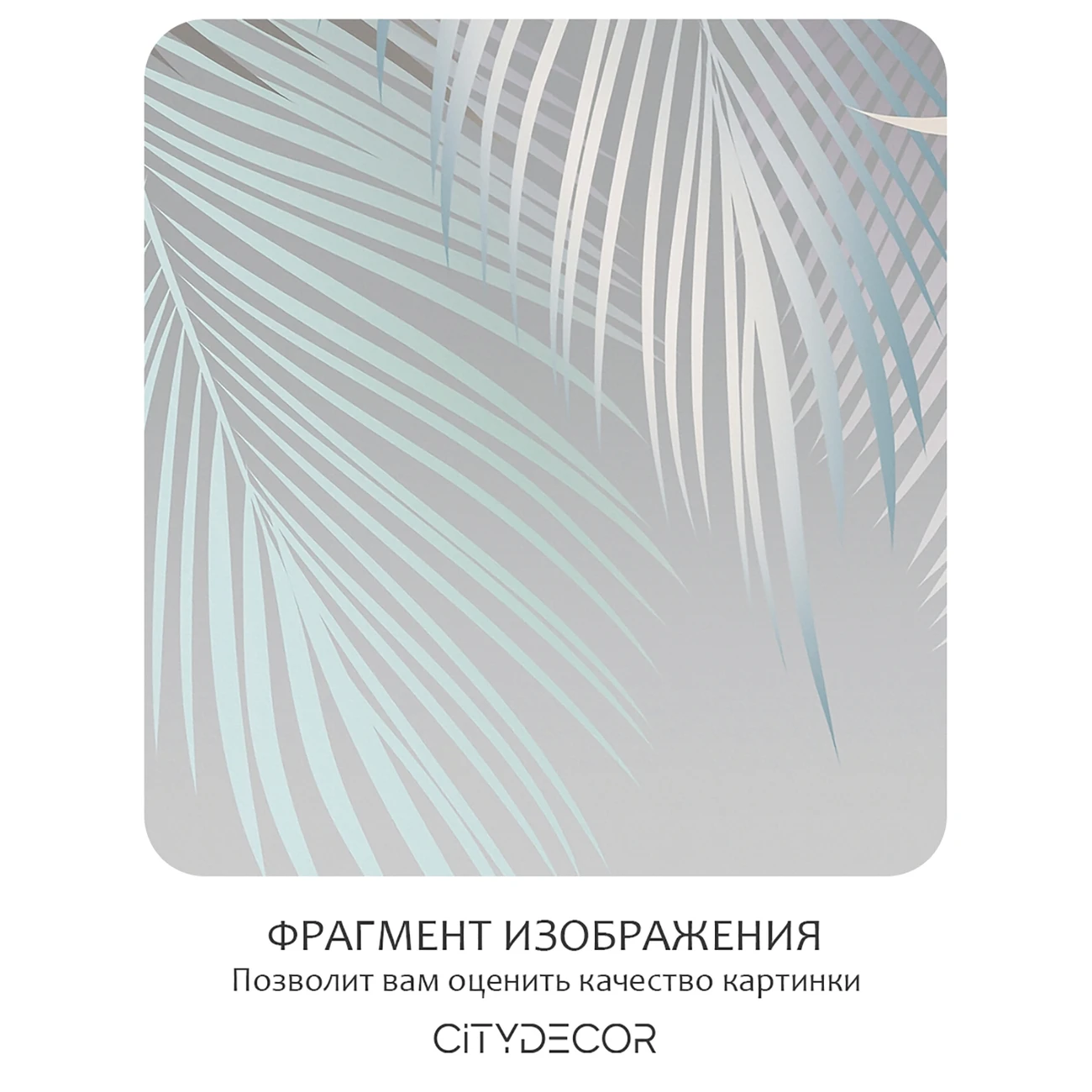 Фотообои рулонные Citydecor Пальмовые листья 78 на флизелиновой основе 300x260 см