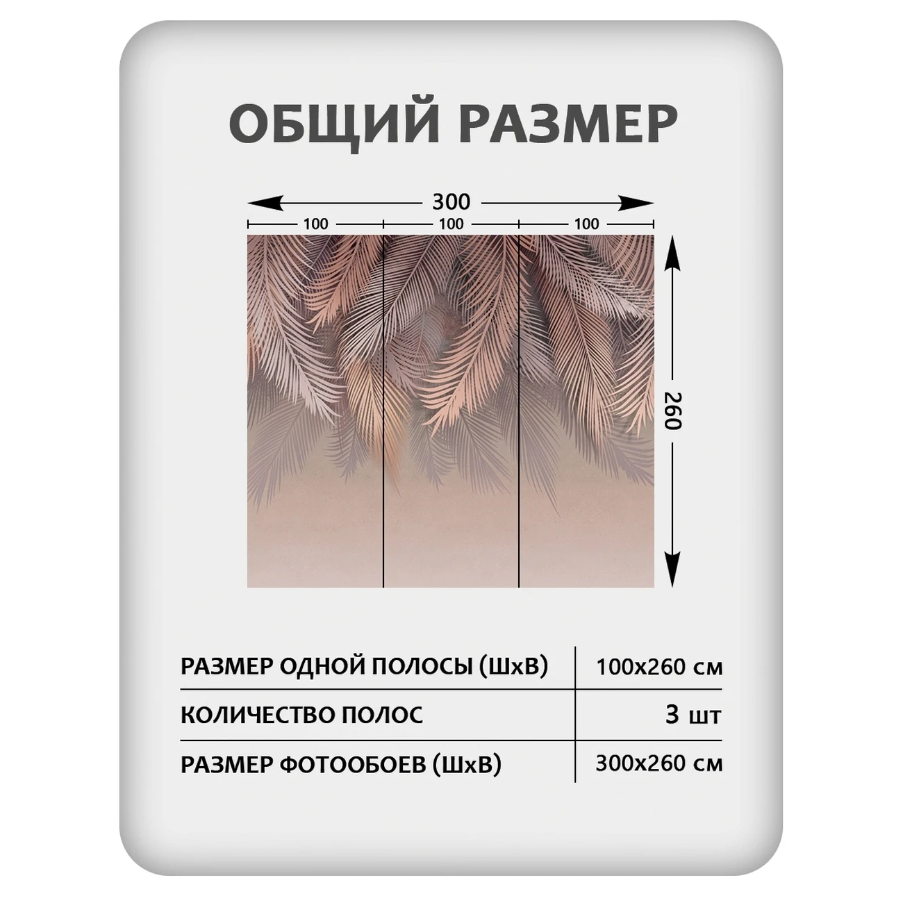 Фотообои рулонные Citydecor Пальмовые листья 79 на флизелиновой основе 300x260 см